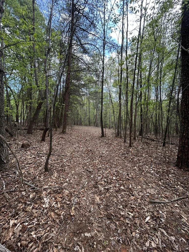 0 Mockingbird LN - Photo 2