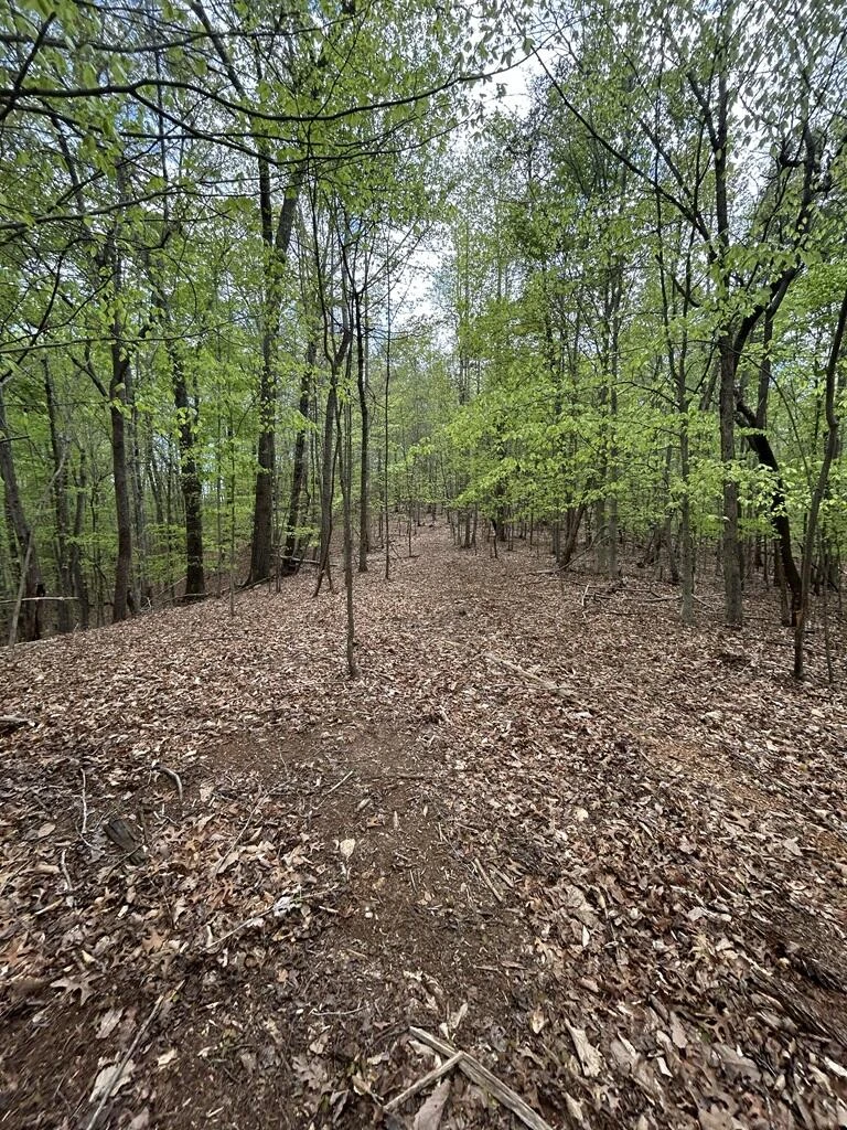 0 Mockingbird LN - Photo 3