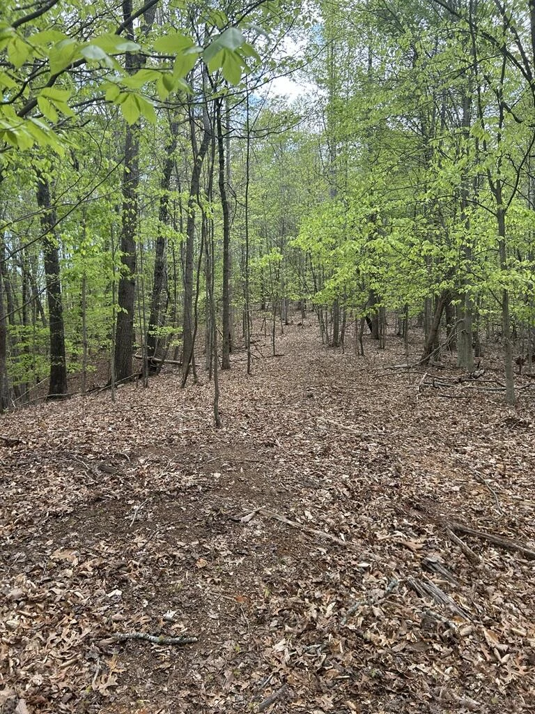 0 Mockingbird LN - Photo 4