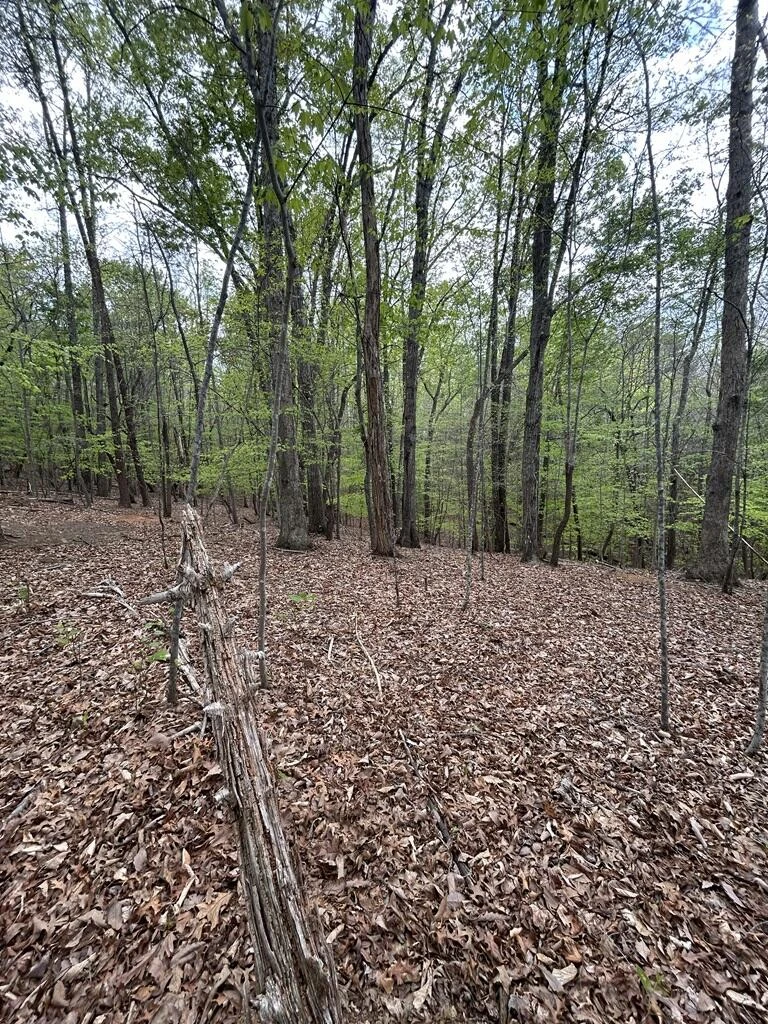 0 Mockingbird LN - Photo 6