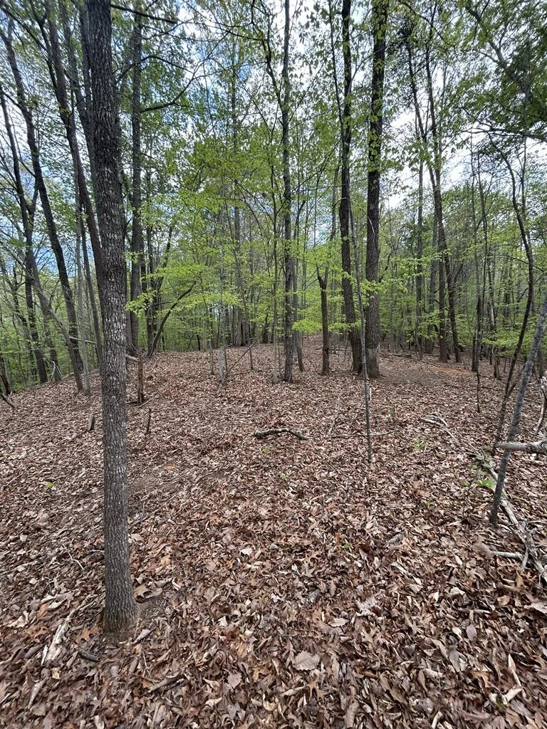 0 Mockingbird LN - Photo 7