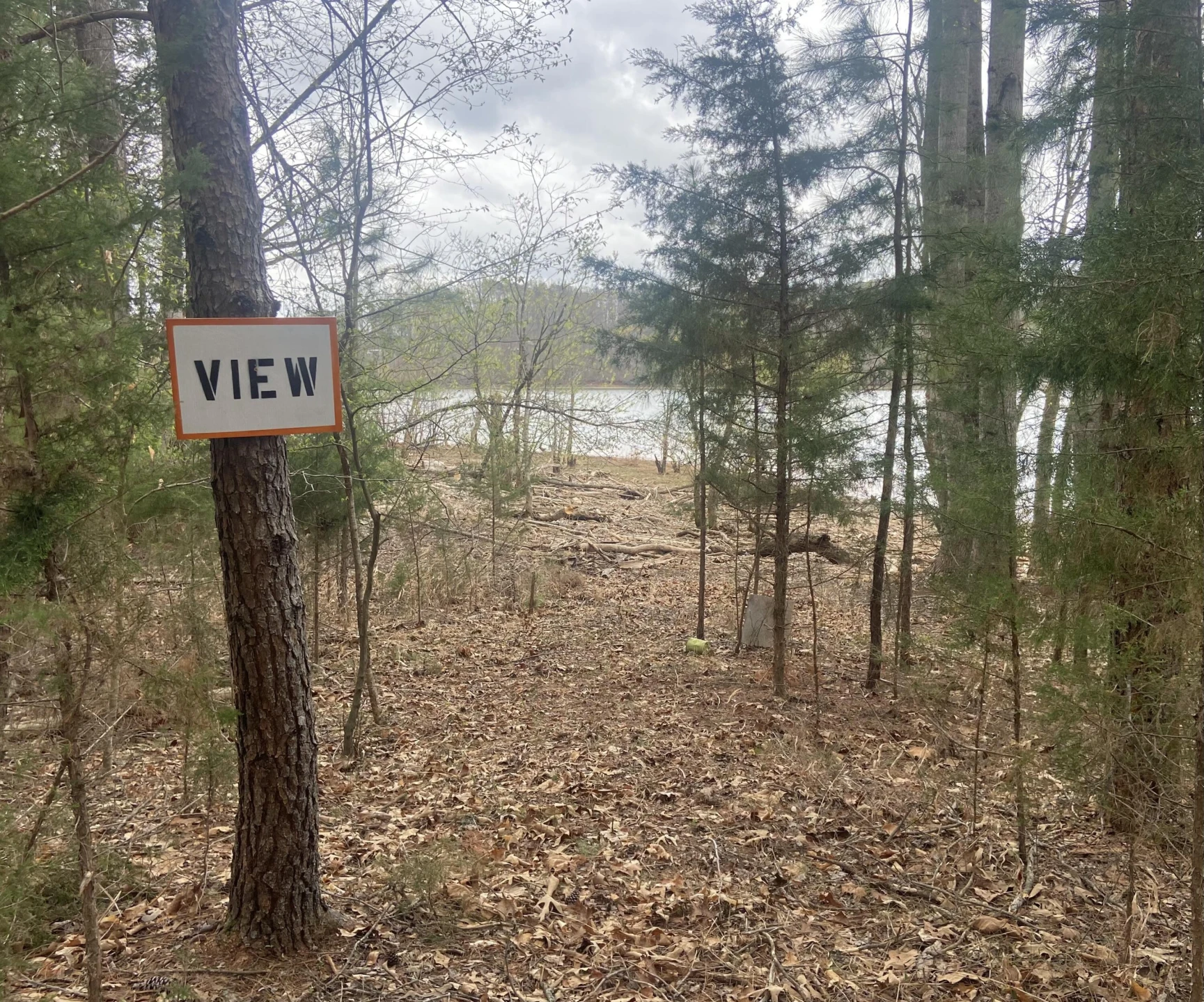 123 Island Point DR - Photo 11