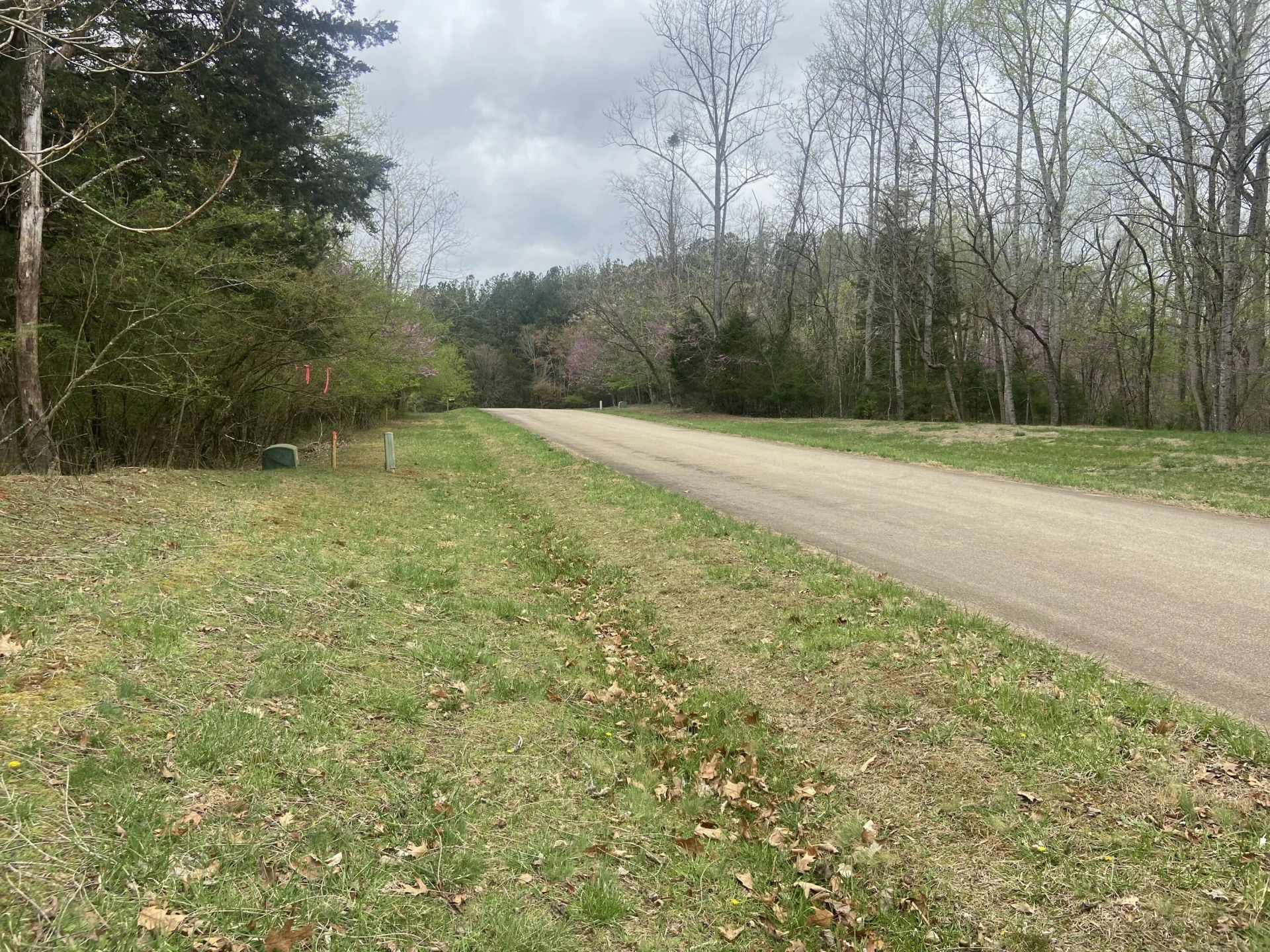 123 Island Point DR - Photo 2