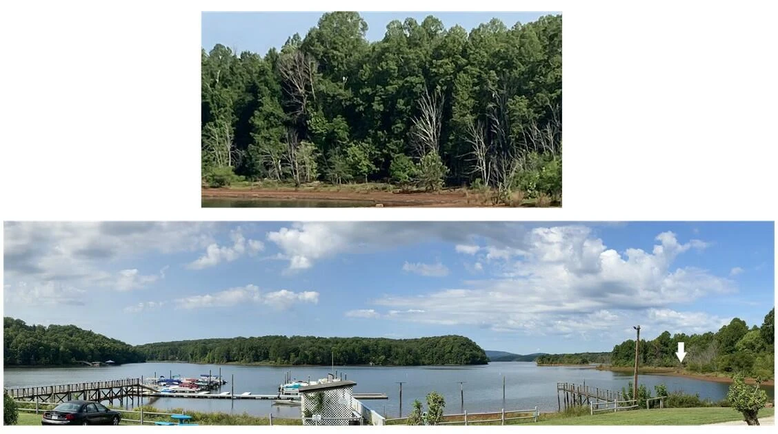123 Island Point DR - Photo 4
