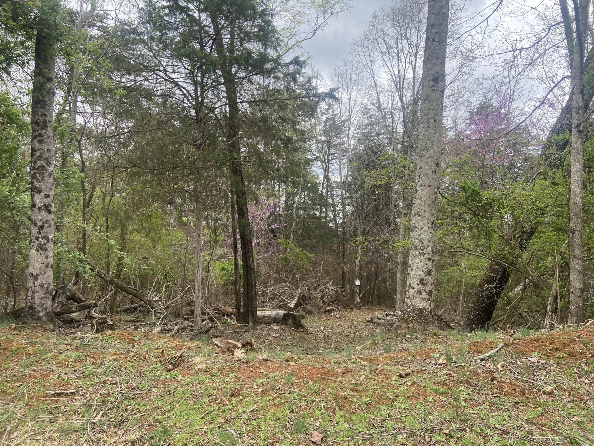 123 Island Point DR - Photo 6