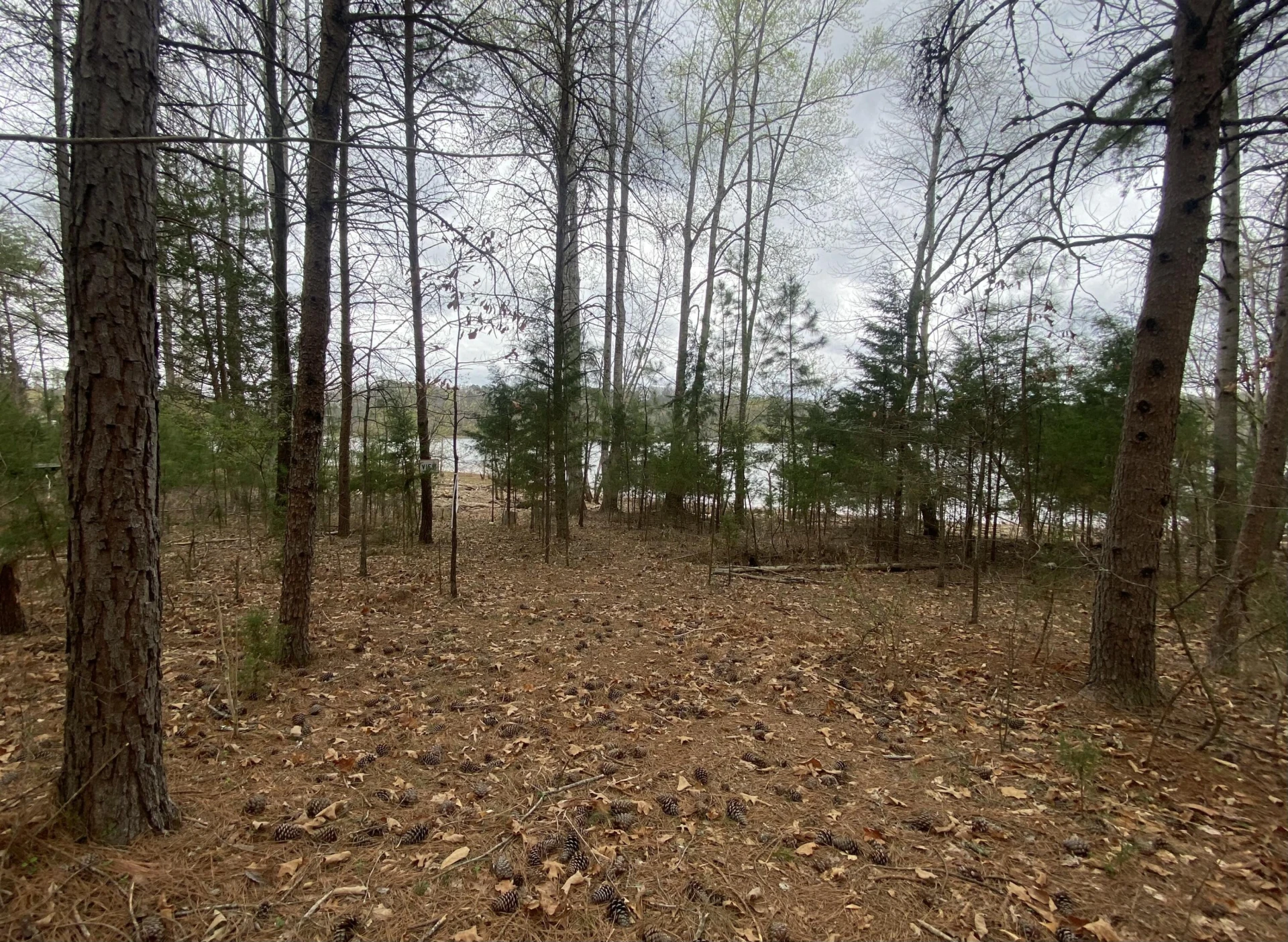 123 Island Point DR - Photo 8