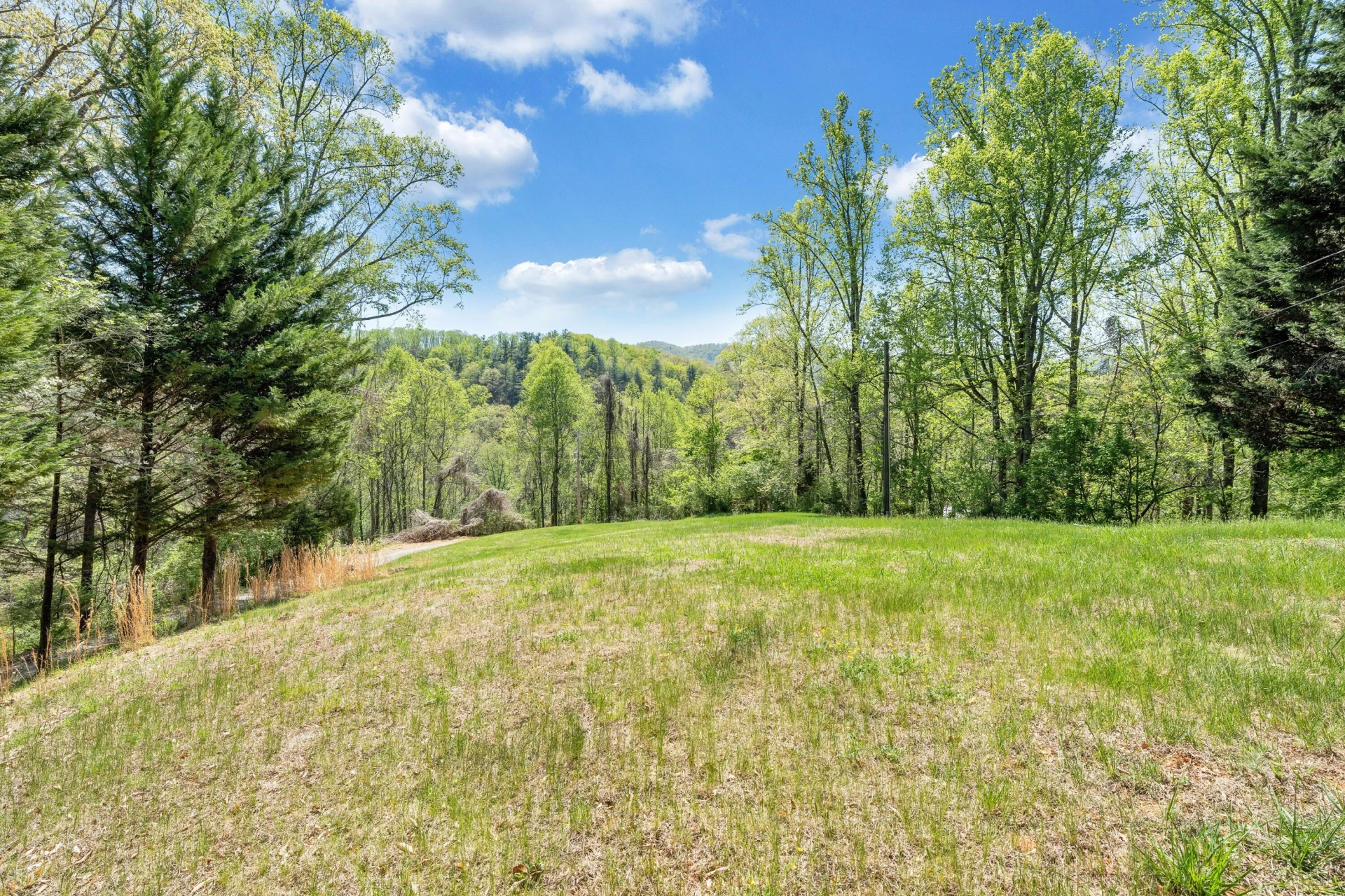 6256 Shady Acres DR - Photo 2