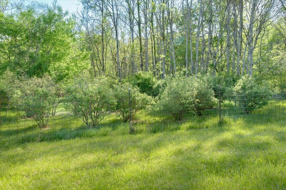 4133 Grove Hill RD - Photo 44