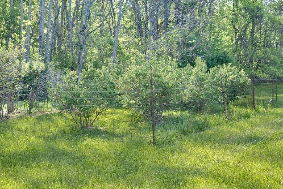 4133 Grove Hill RD - Photo 45