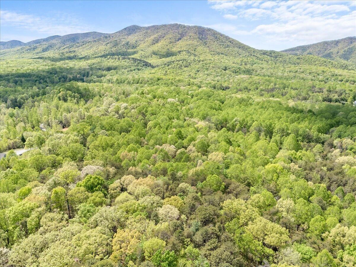 4133 Grove Hill RD - Photo 58