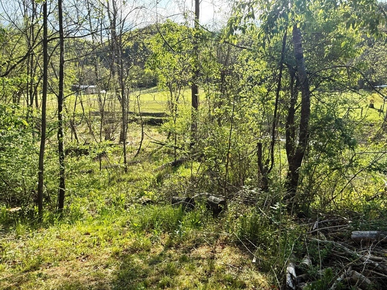 2700 Bradshaw RD - Photo 11