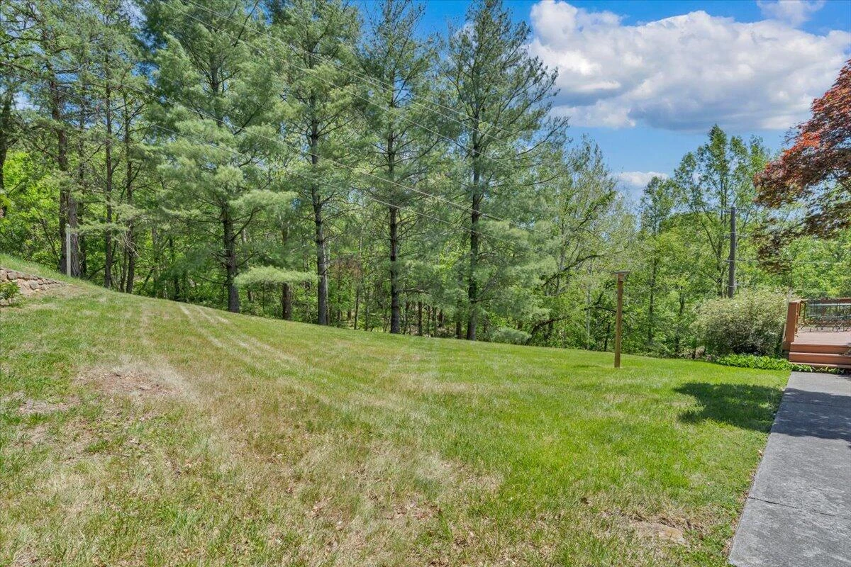 4061 Horsepen Mountain DR - Photo 40