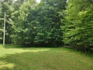 0 Greenwood LN, Copper Hill, VA, 24079