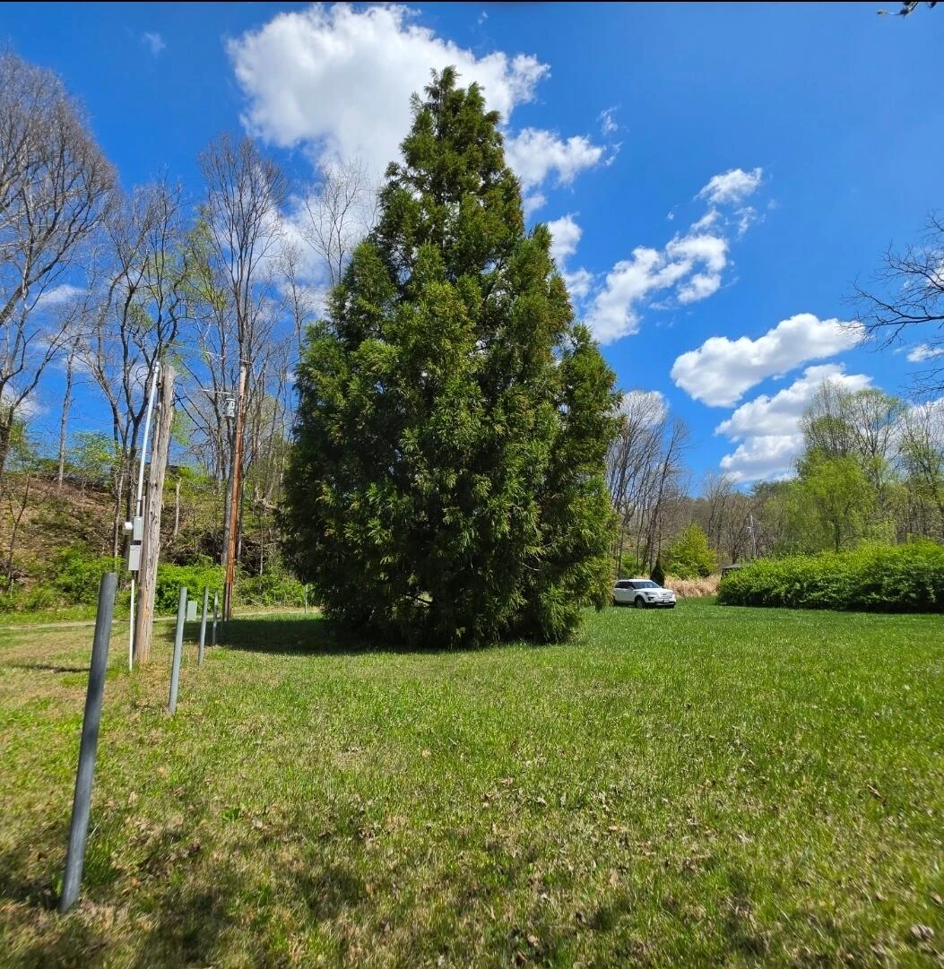 Lot 36 Craig CK, Meadows Of Craig - Photo 13