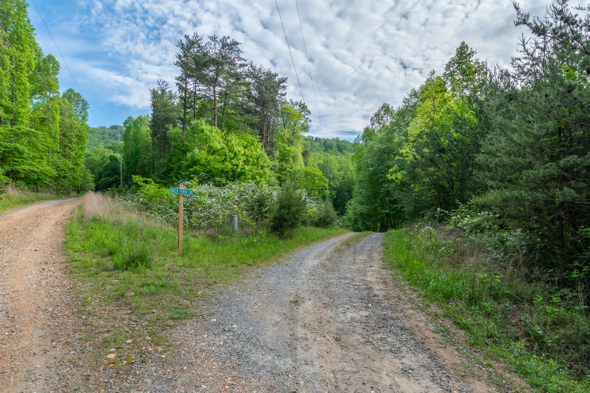 57 Buck Fever LN - Photo 43