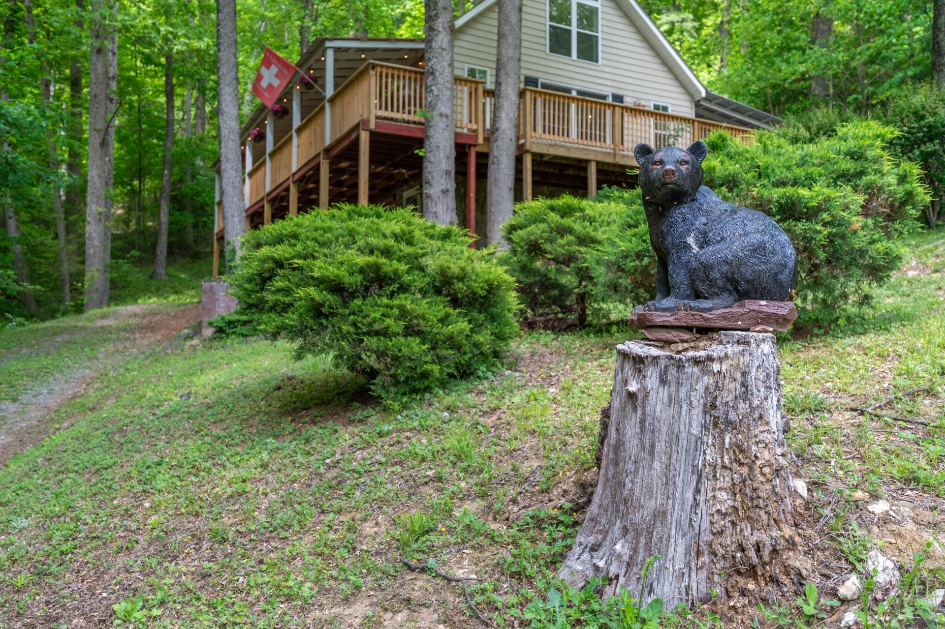 57 Buck Fever LN - Photo 45