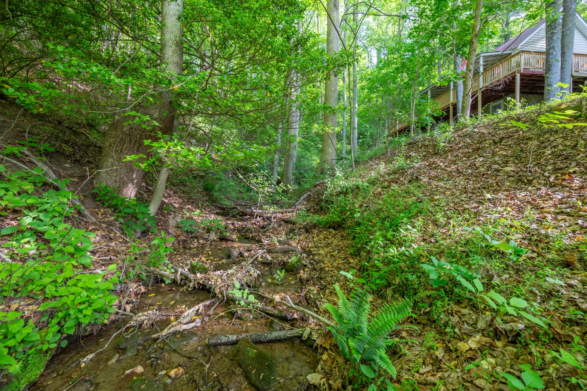 57 Buck Fever LN - Photo 46