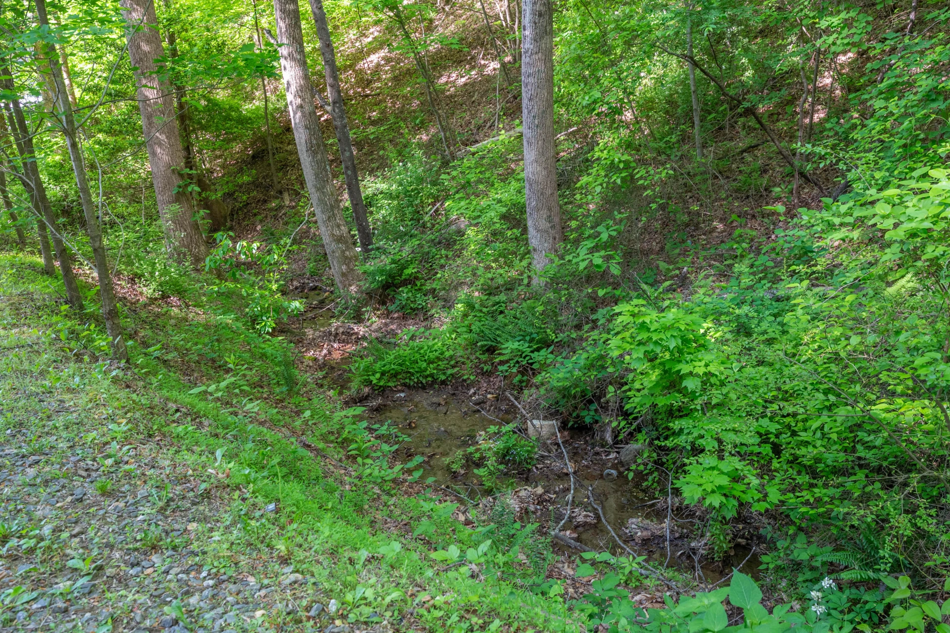 57 Buck Fever LN - Photo 47