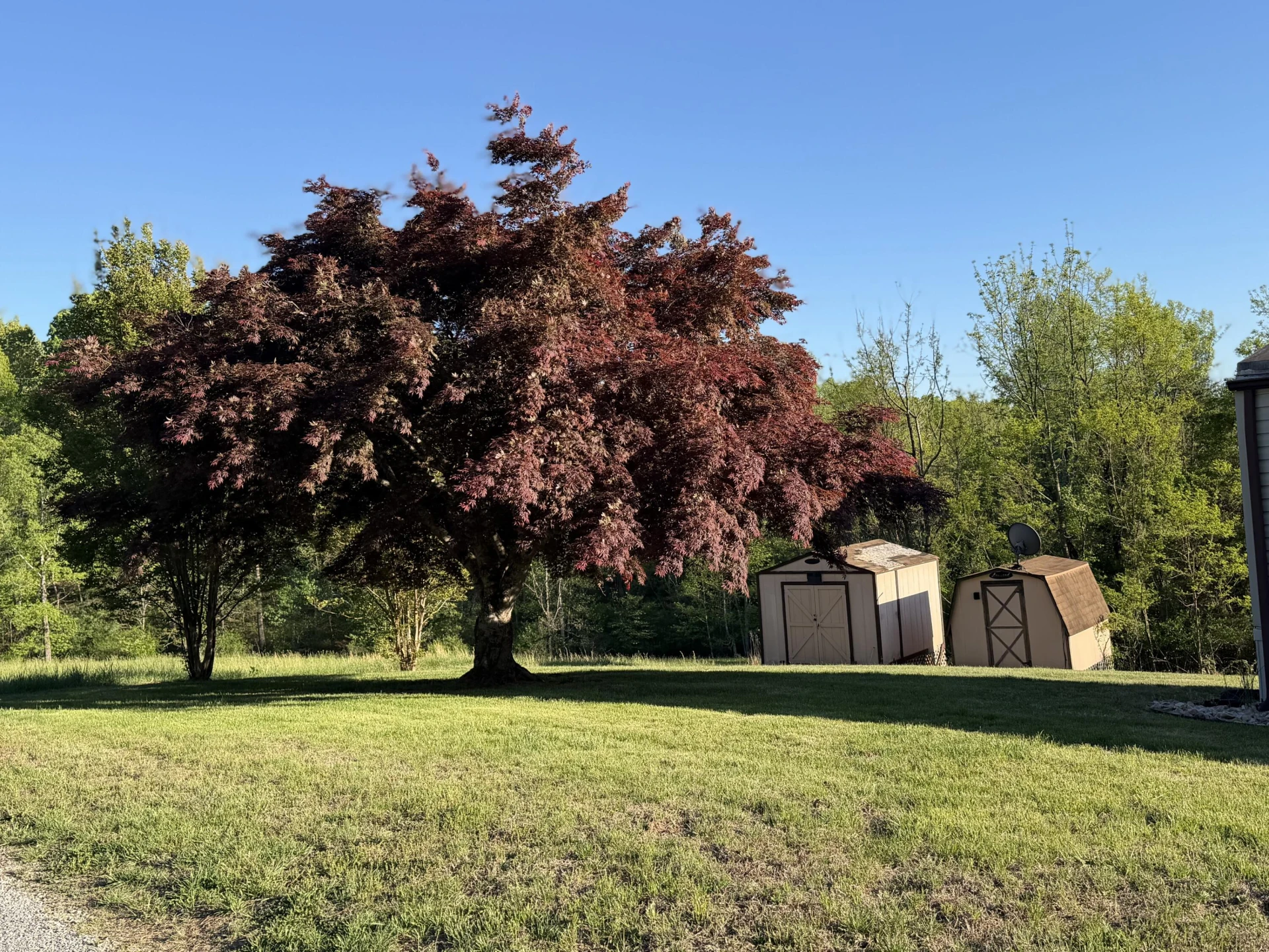 1011 Circle Tee LN - Photo 3