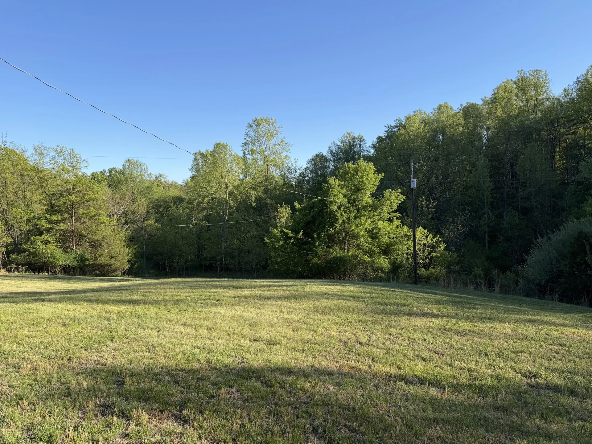 1011 Circle Tee LN - Photo 5