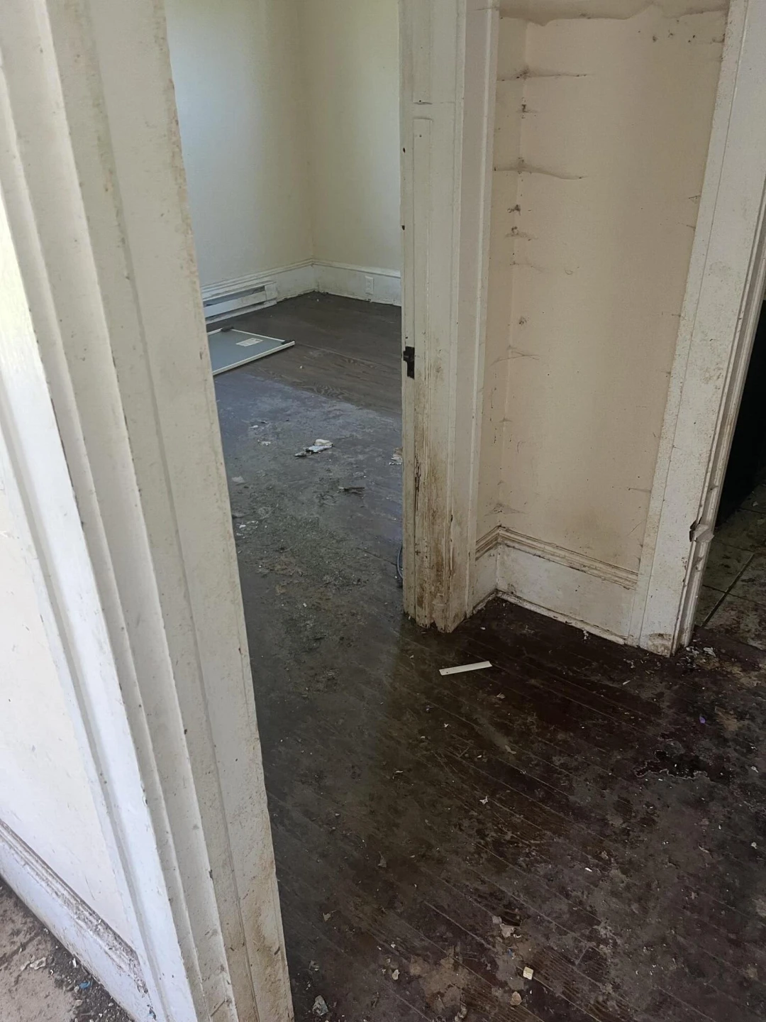652 Montrose AVE SE - Photo 4