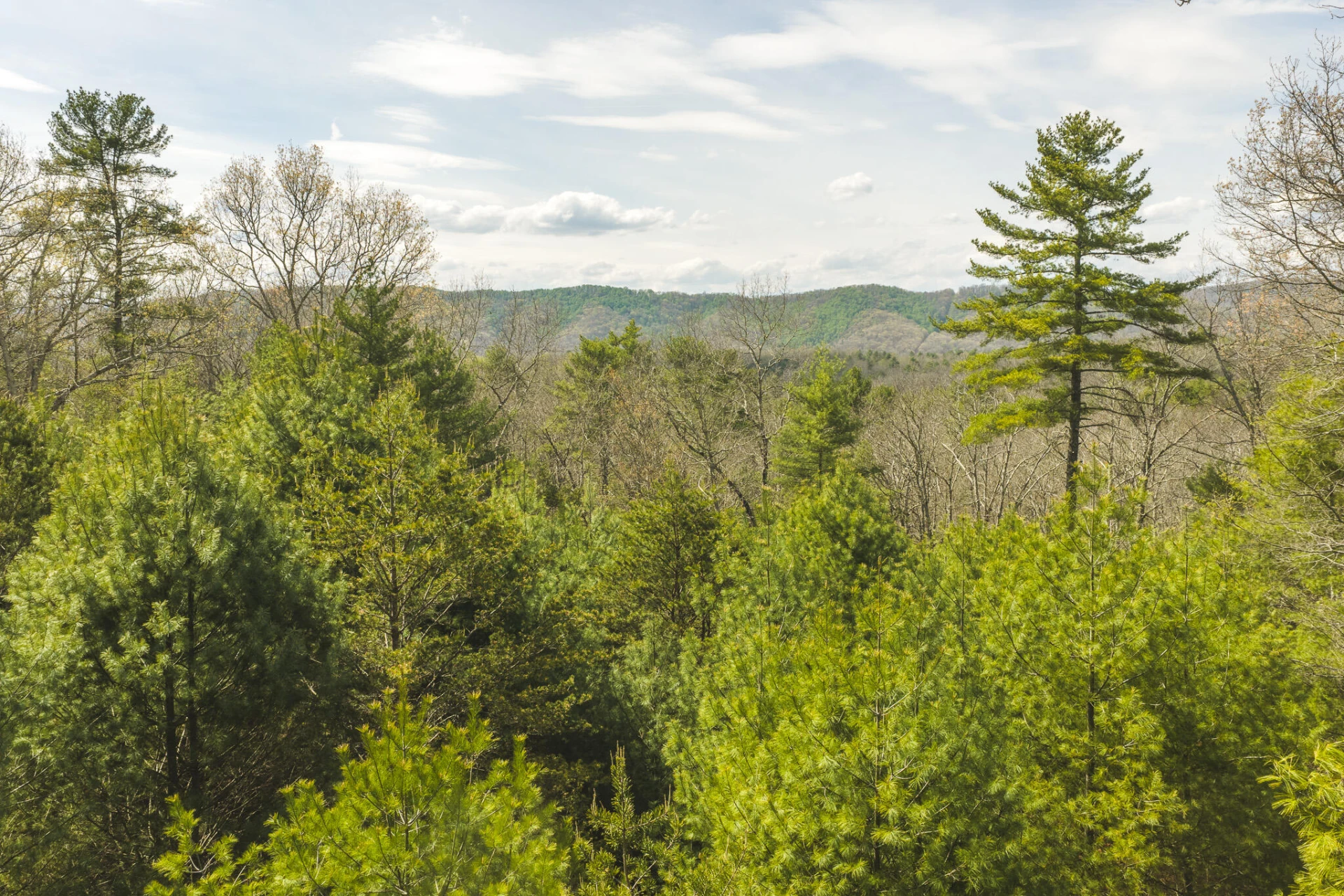 TBD Whip-Poor Will Hollow RD - Photo 12