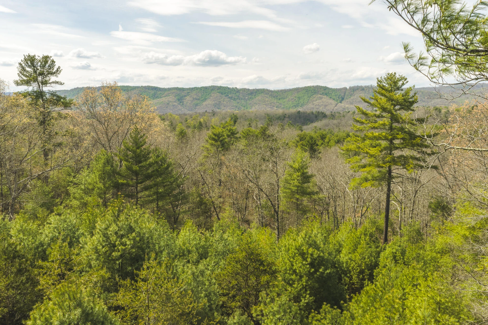 TBD Whip-Poor Will Hollow RD - Photo 13