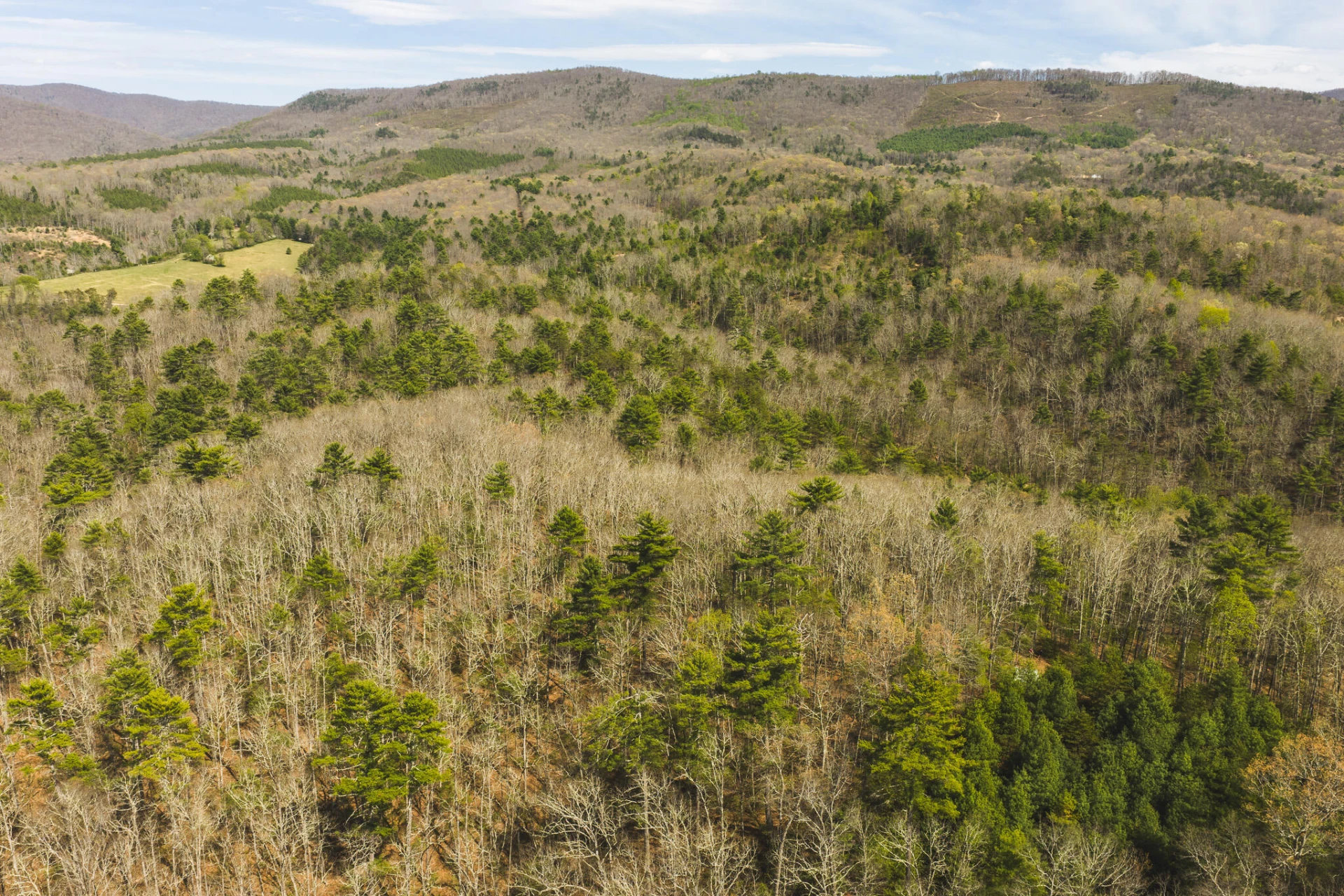 TBD Whip-Poor Will Hollow RD - Photo 14