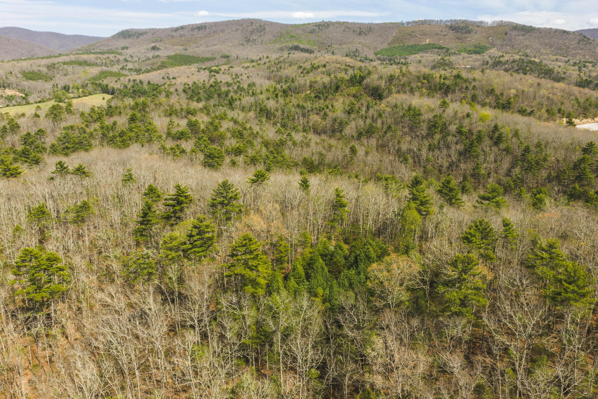 TBD Whip-Poor Will Hollow RD - Photo 15