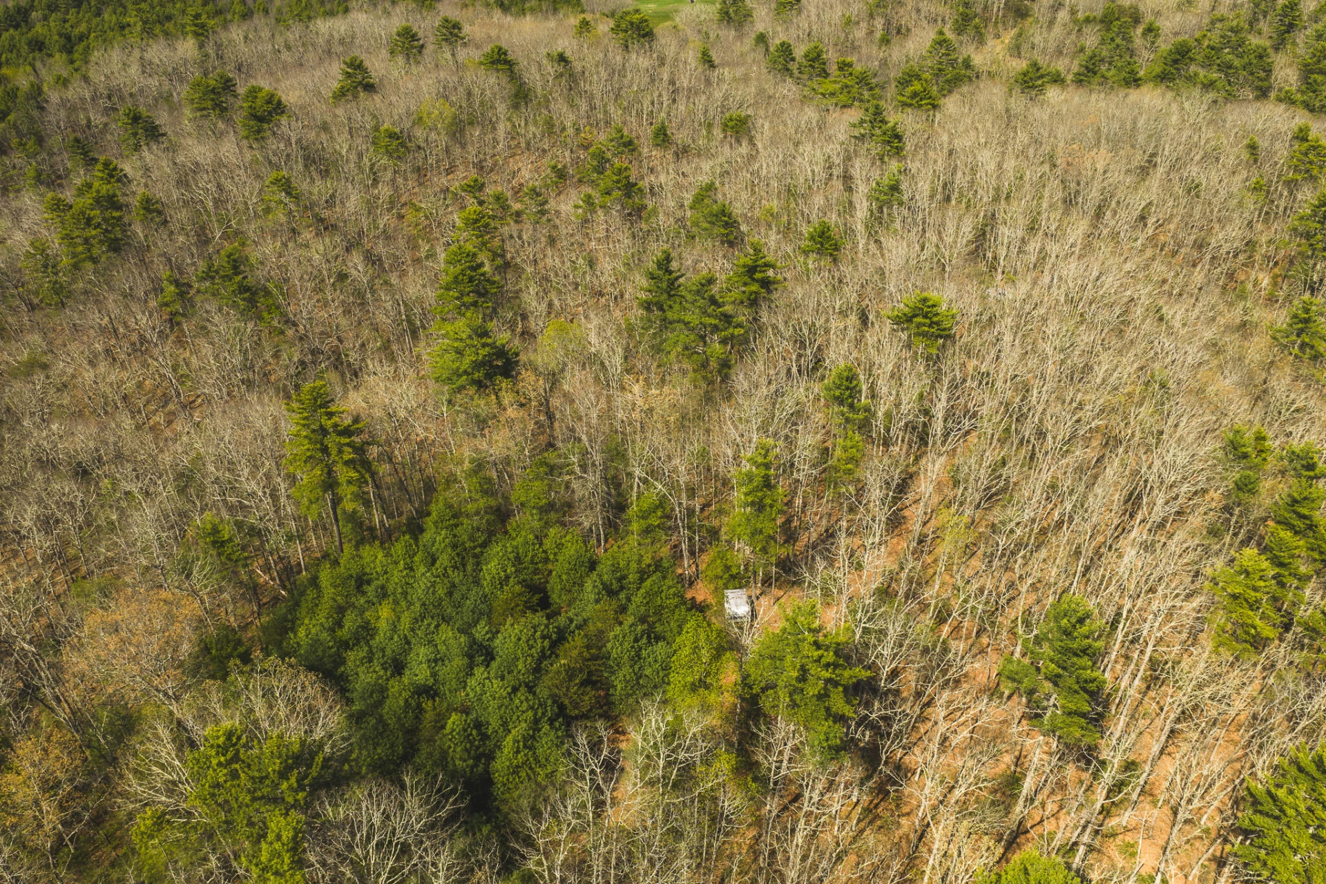 TBD Whip-Poor Will Hollow RD - Photo 16