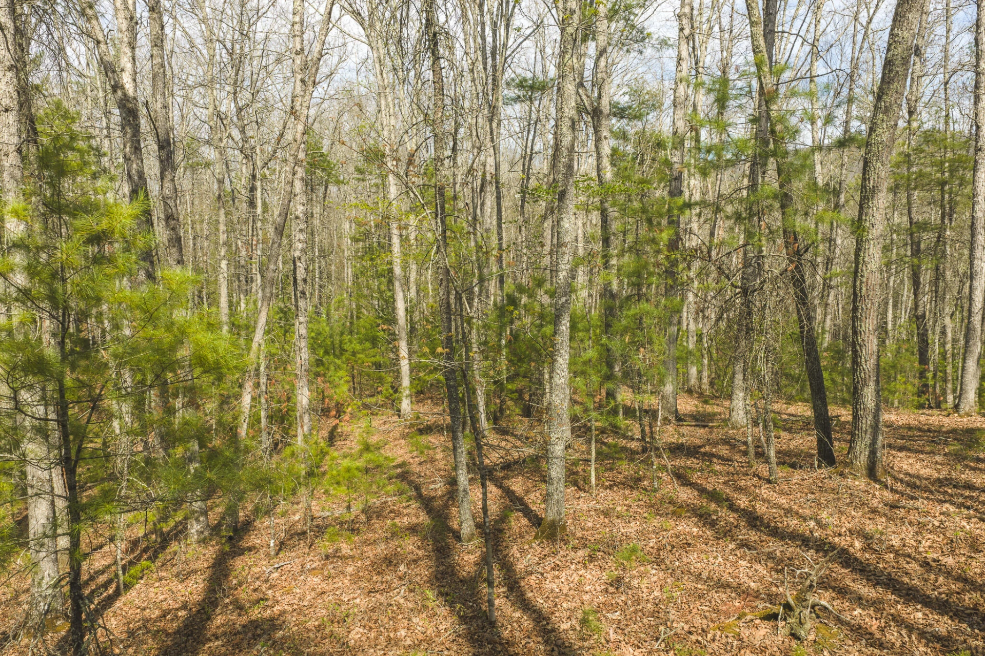 TBD Whip-Poor Will Hollow RD - Photo 18