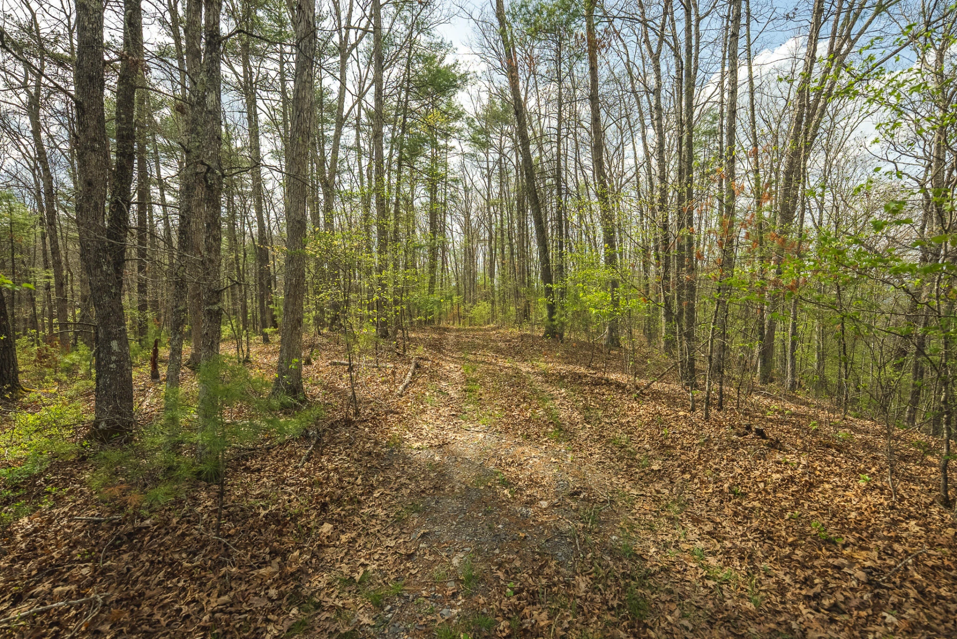 TBD Whip-Poor Will Hollow RD - Photo 2