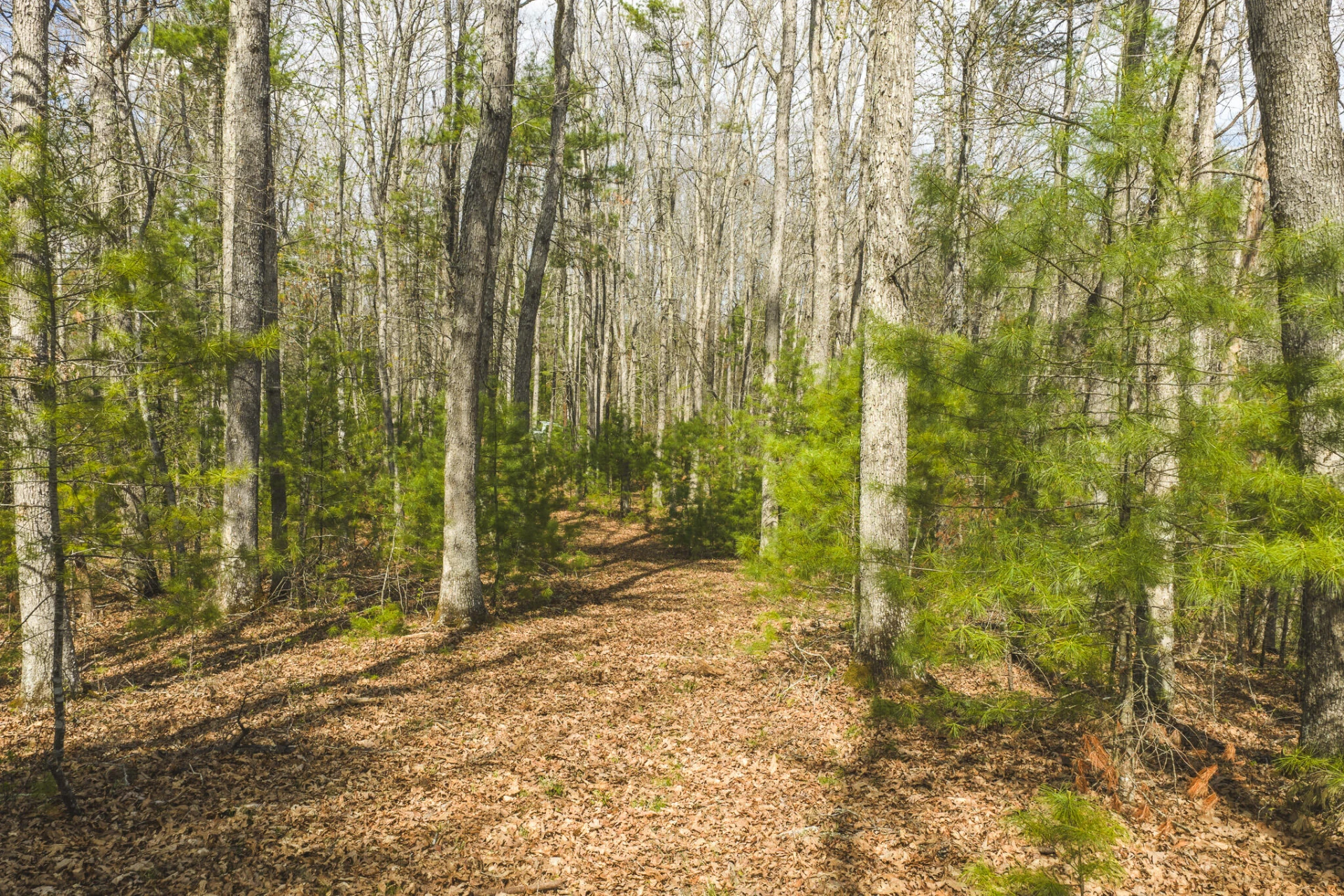 TBD Whip-Poor Will Hollow RD - Photo 20