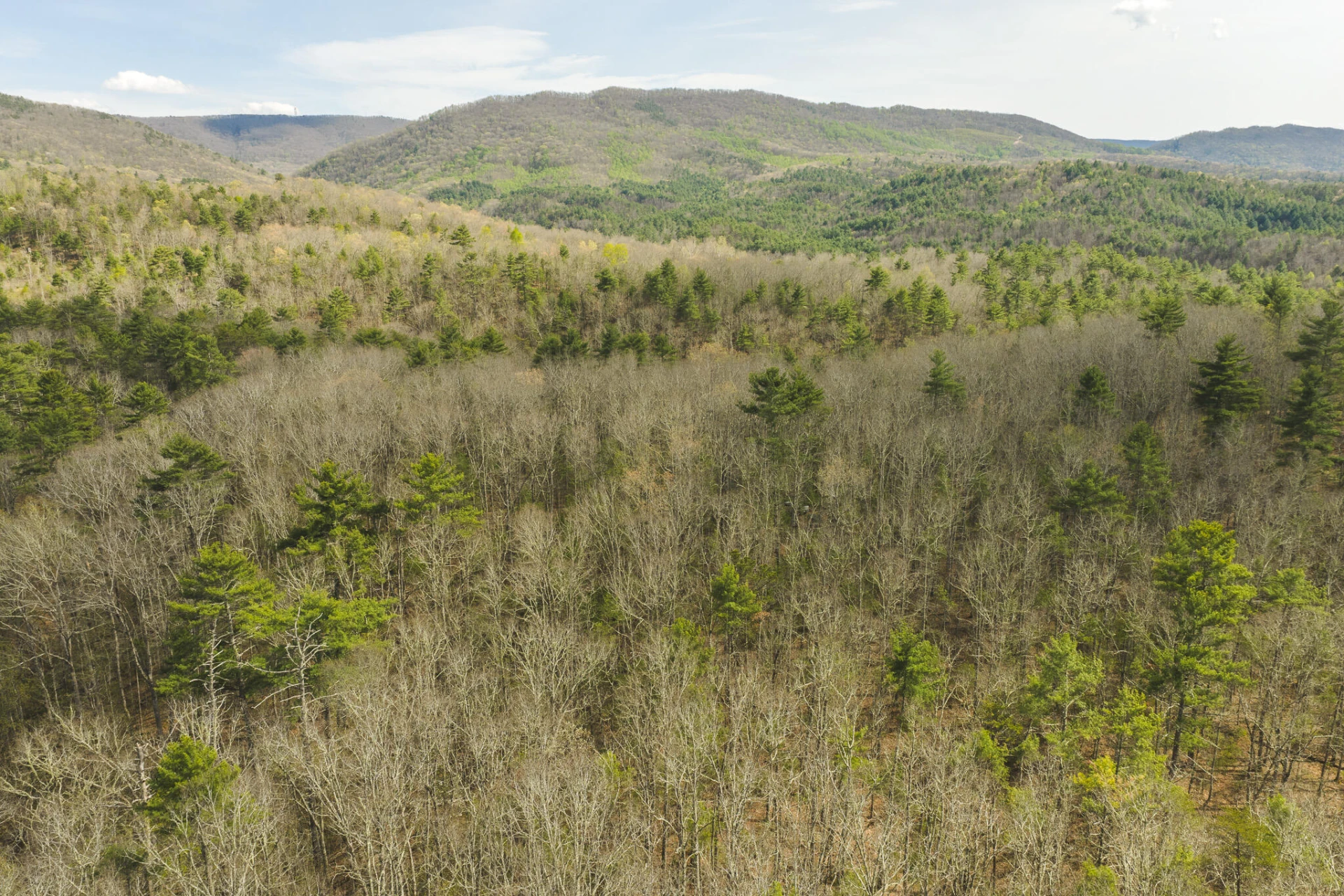 TBD Whip-Poor Will Hollow RD - Photo 21