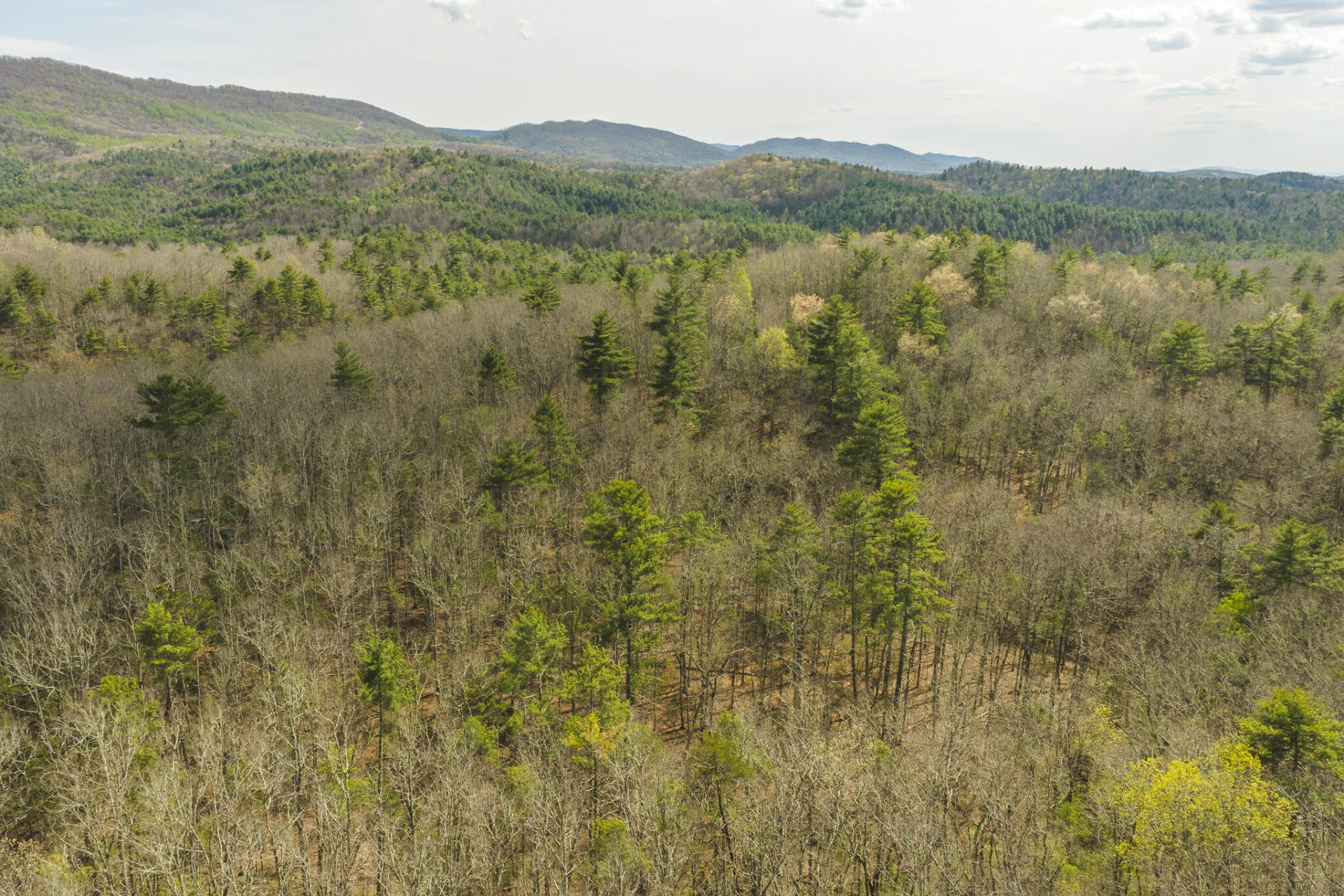TBD Whip-Poor Will Hollow RD - Photo 22