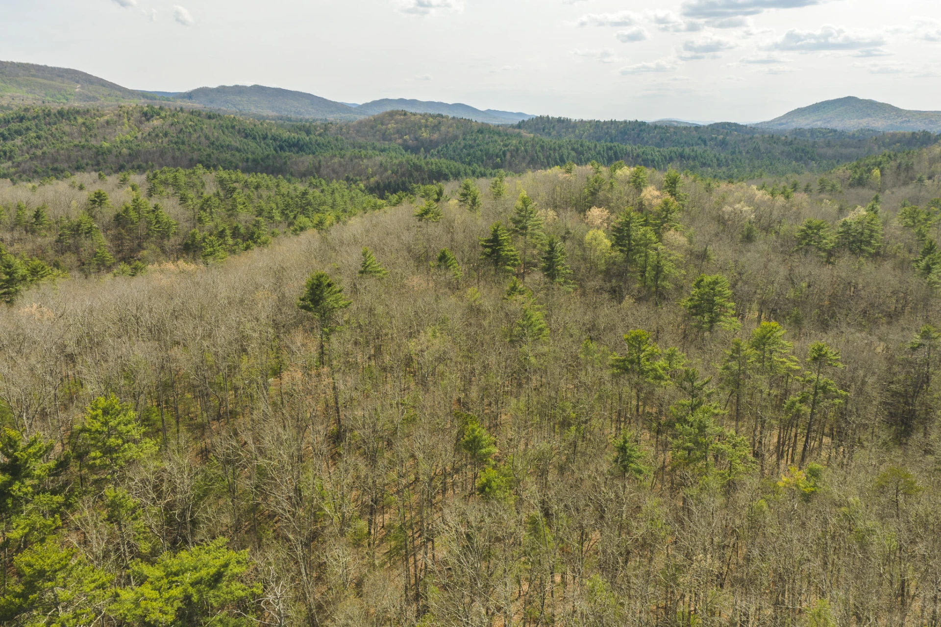 TBD Whip-Poor Will Hollow RD - Photo 23