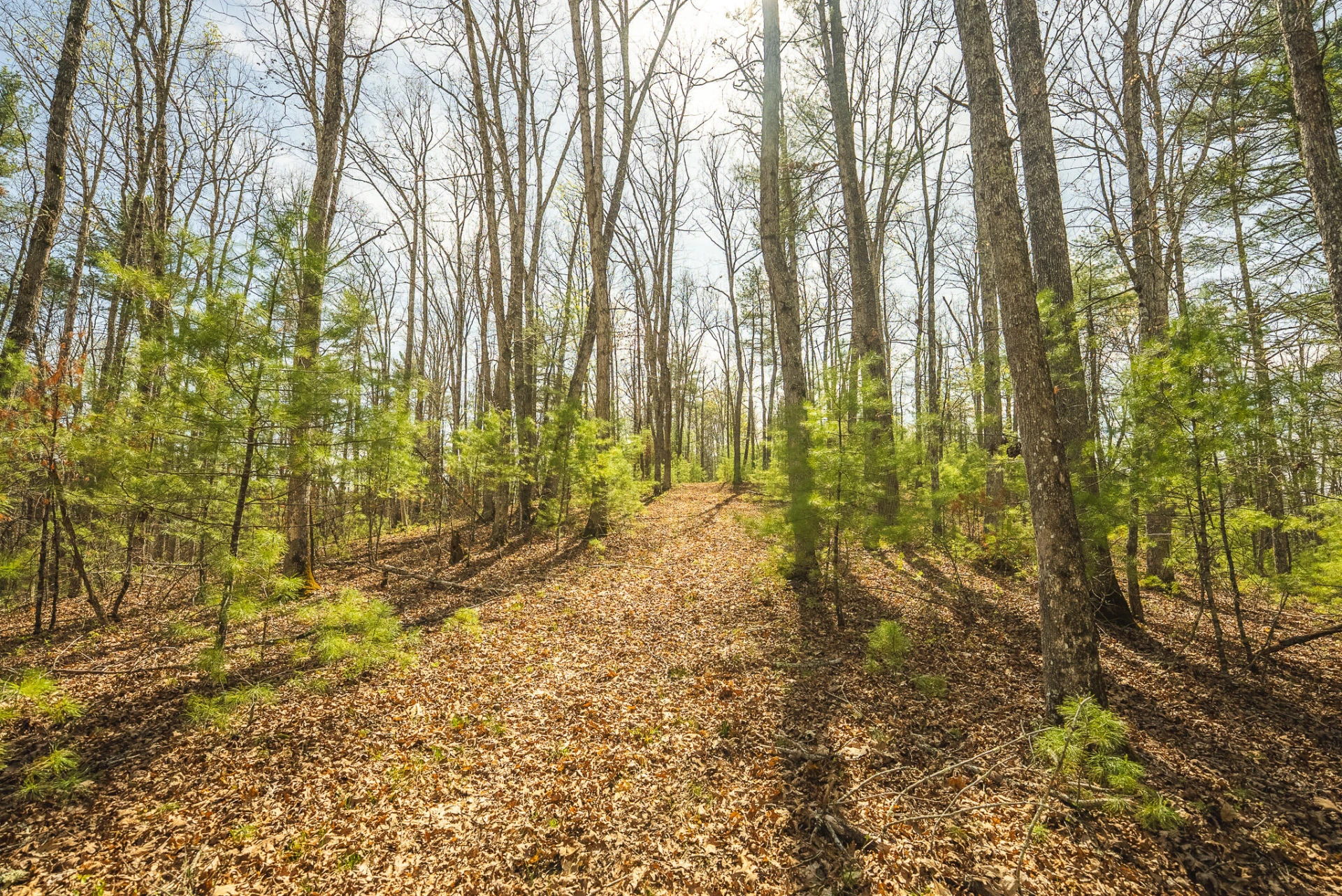 TBD Whip-Poor Will Hollow RD - Photo 28