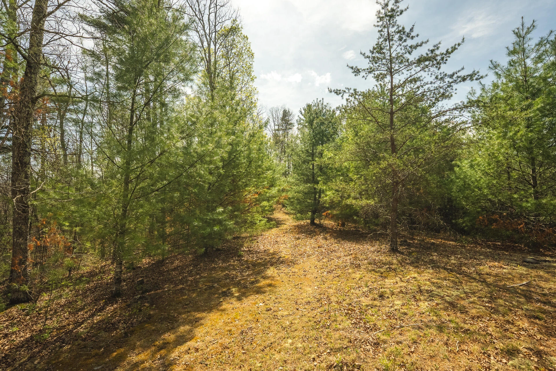 TBD Whip-Poor Will Hollow RD - Photo 29