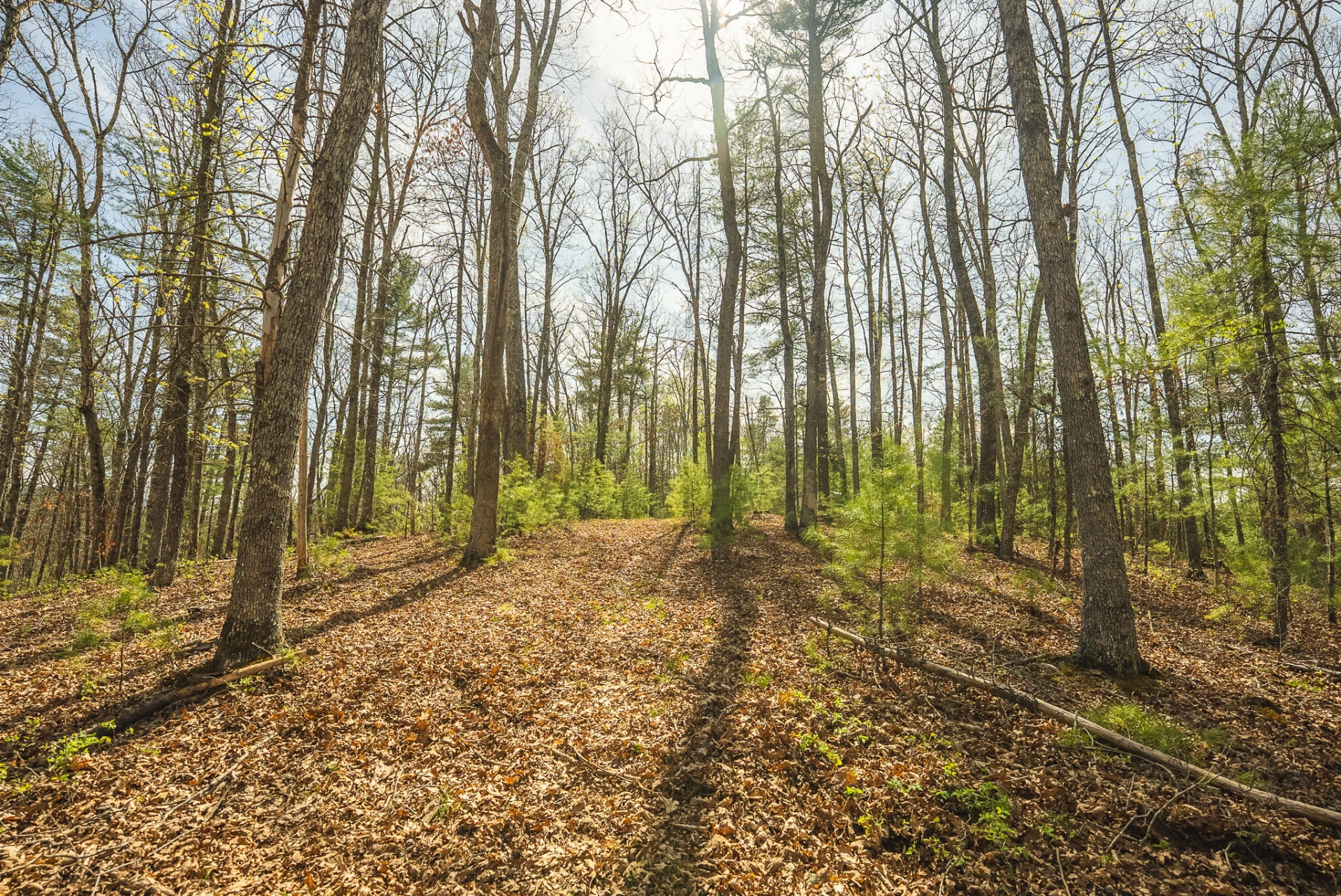 TBD Whip-Poor Will Hollow RD - Photo 3