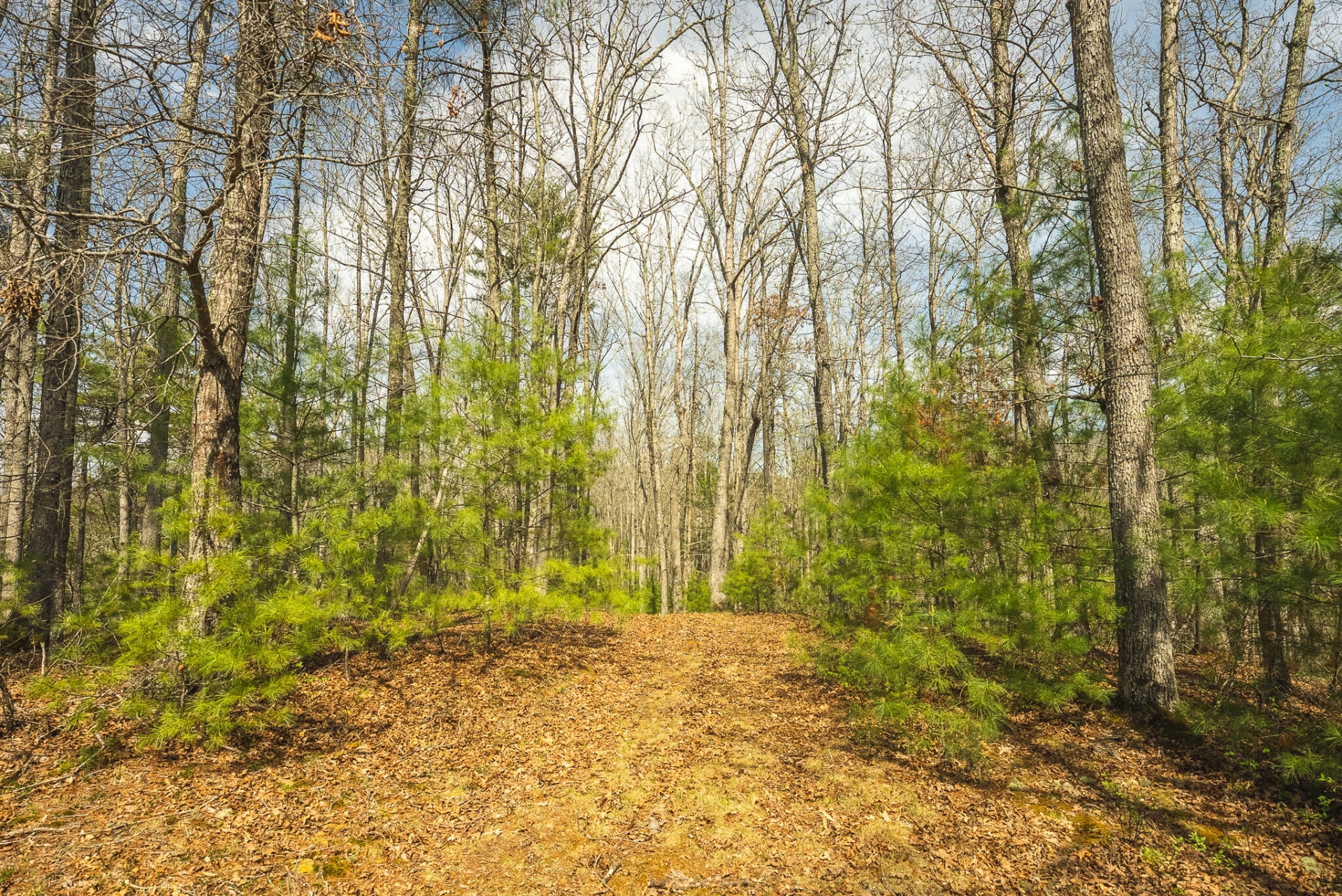 TBD Whip-Poor Will Hollow RD - Photo 31