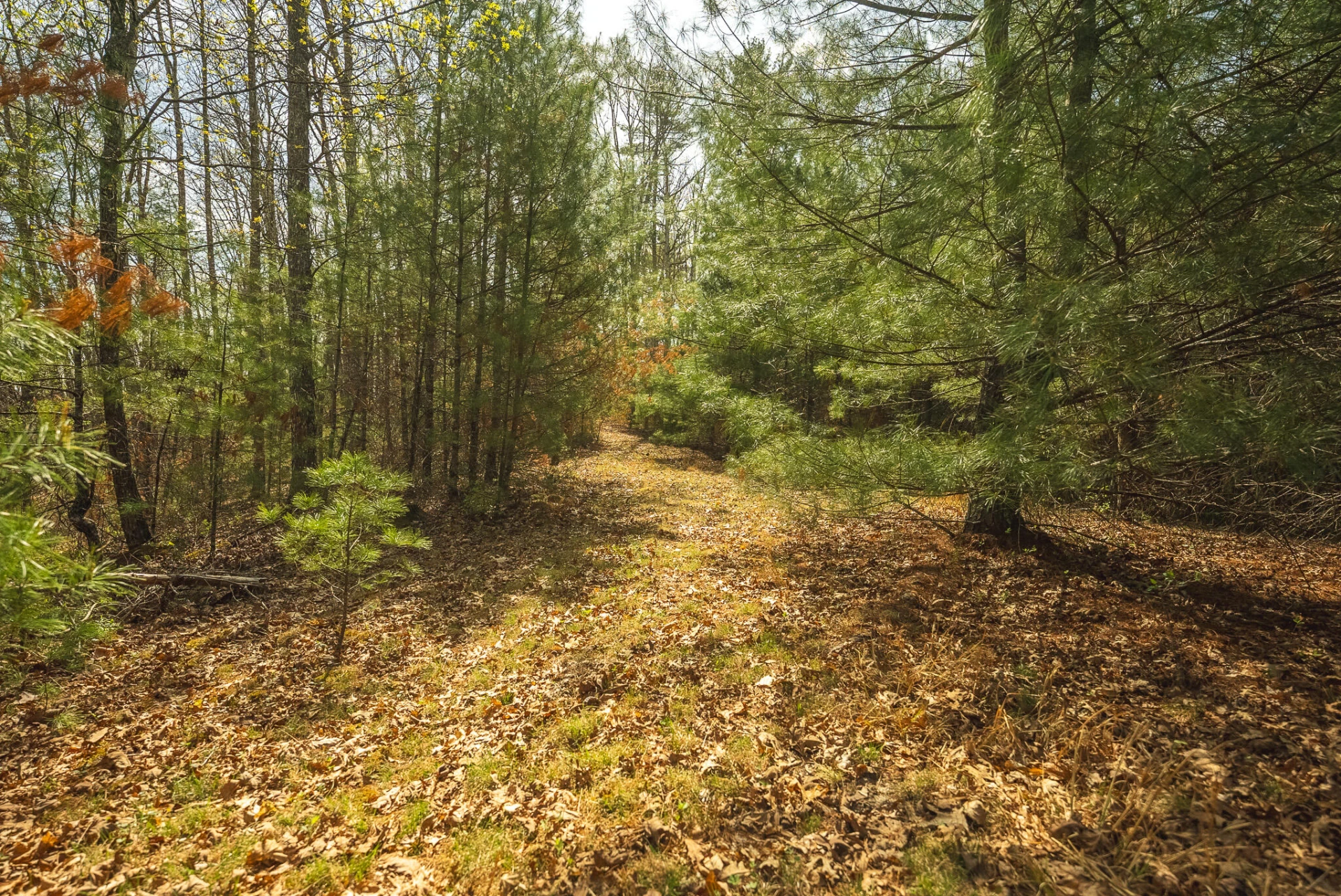 TBD Whip-Poor Will Hollow RD - Photo 32