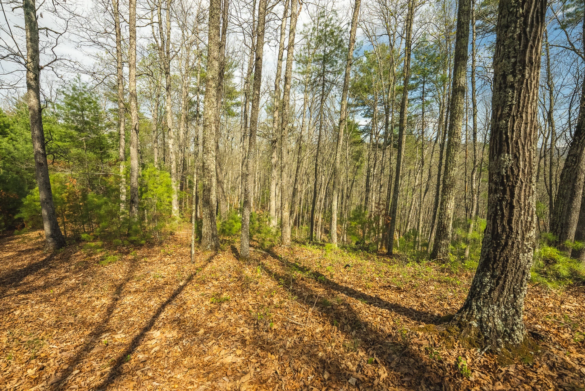TBD Whip-Poor Will Hollow RD - Photo 34