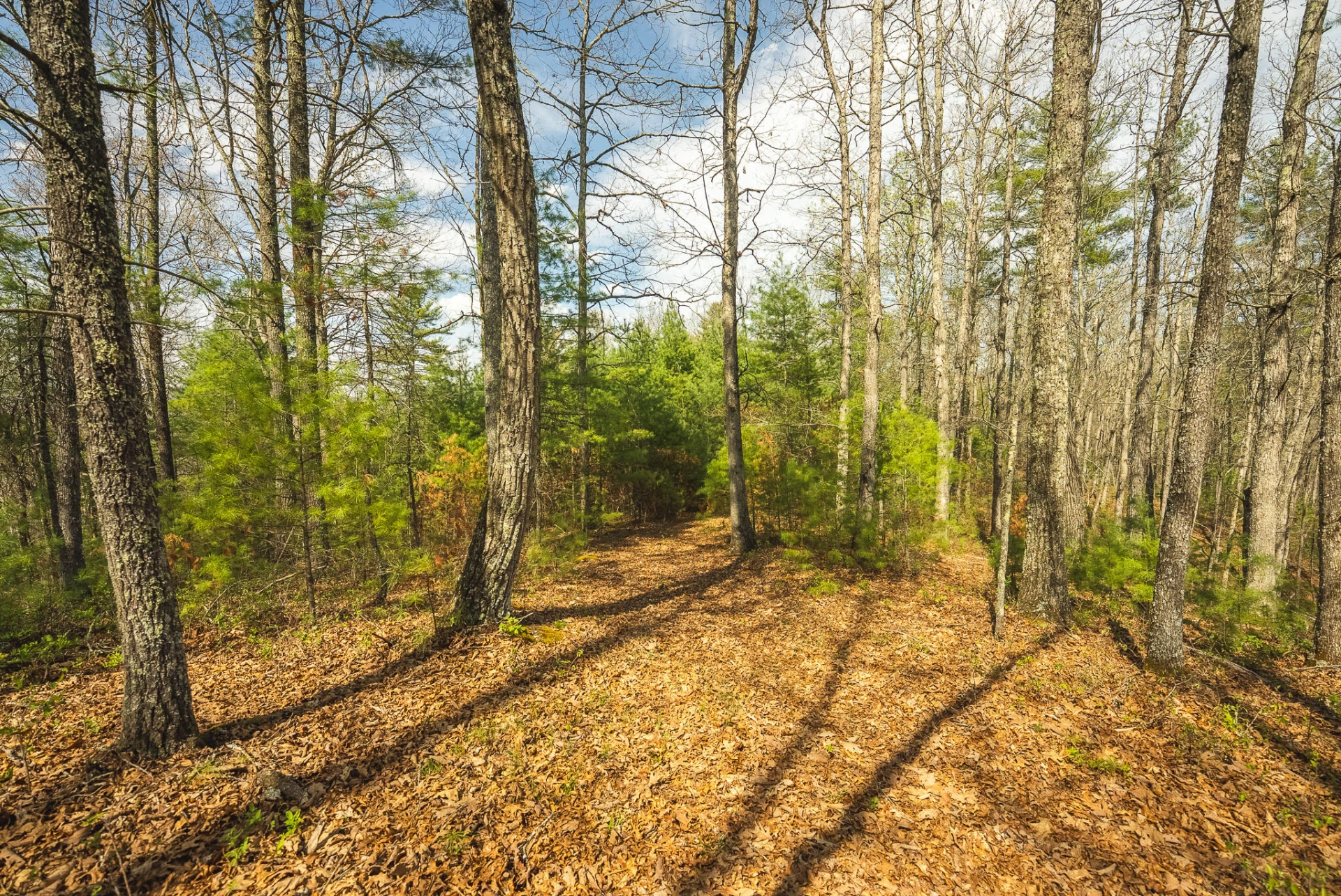 TBD Whip-Poor Will Hollow RD - Photo 35