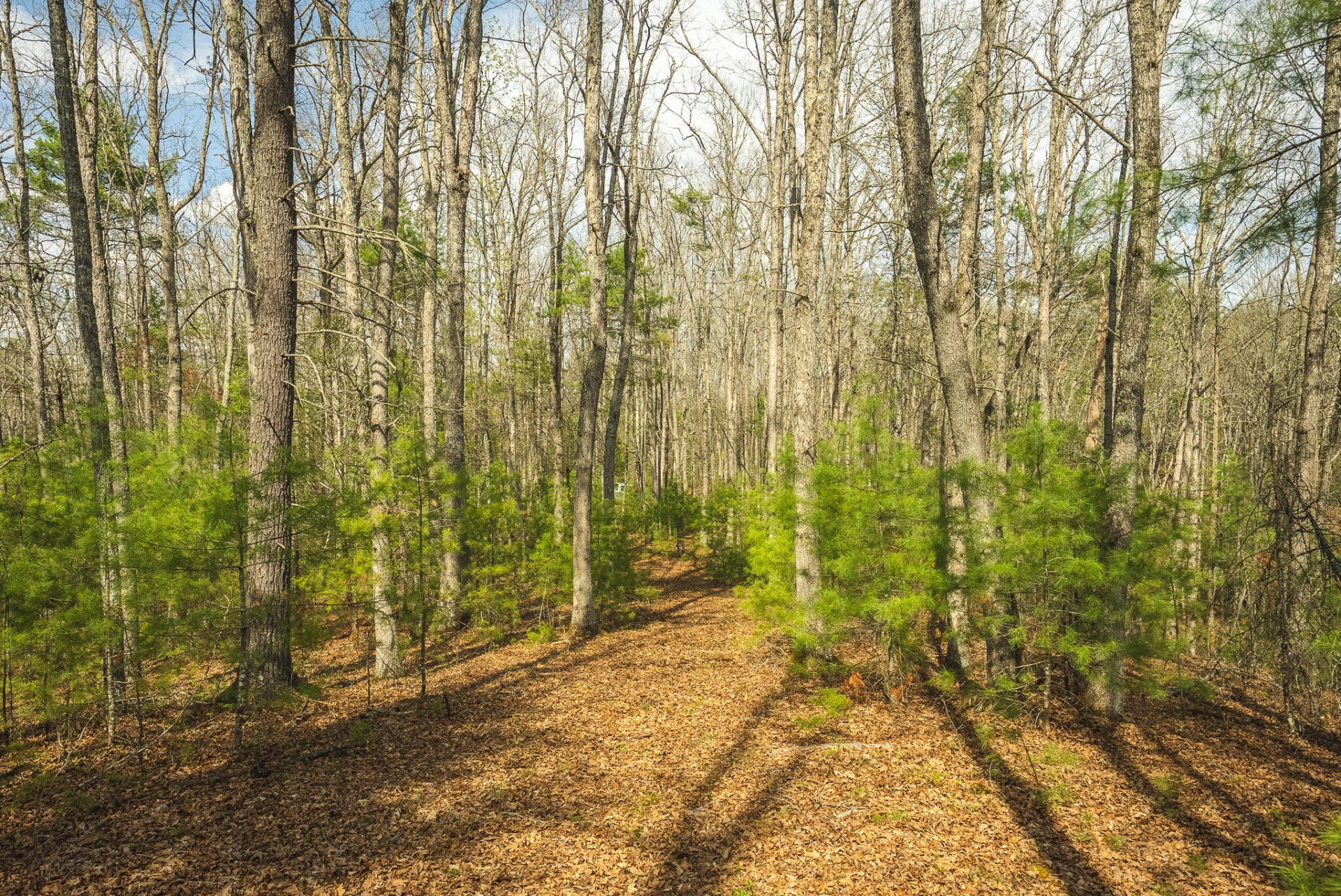 TBD Whip-Poor Will Hollow RD - Photo 38