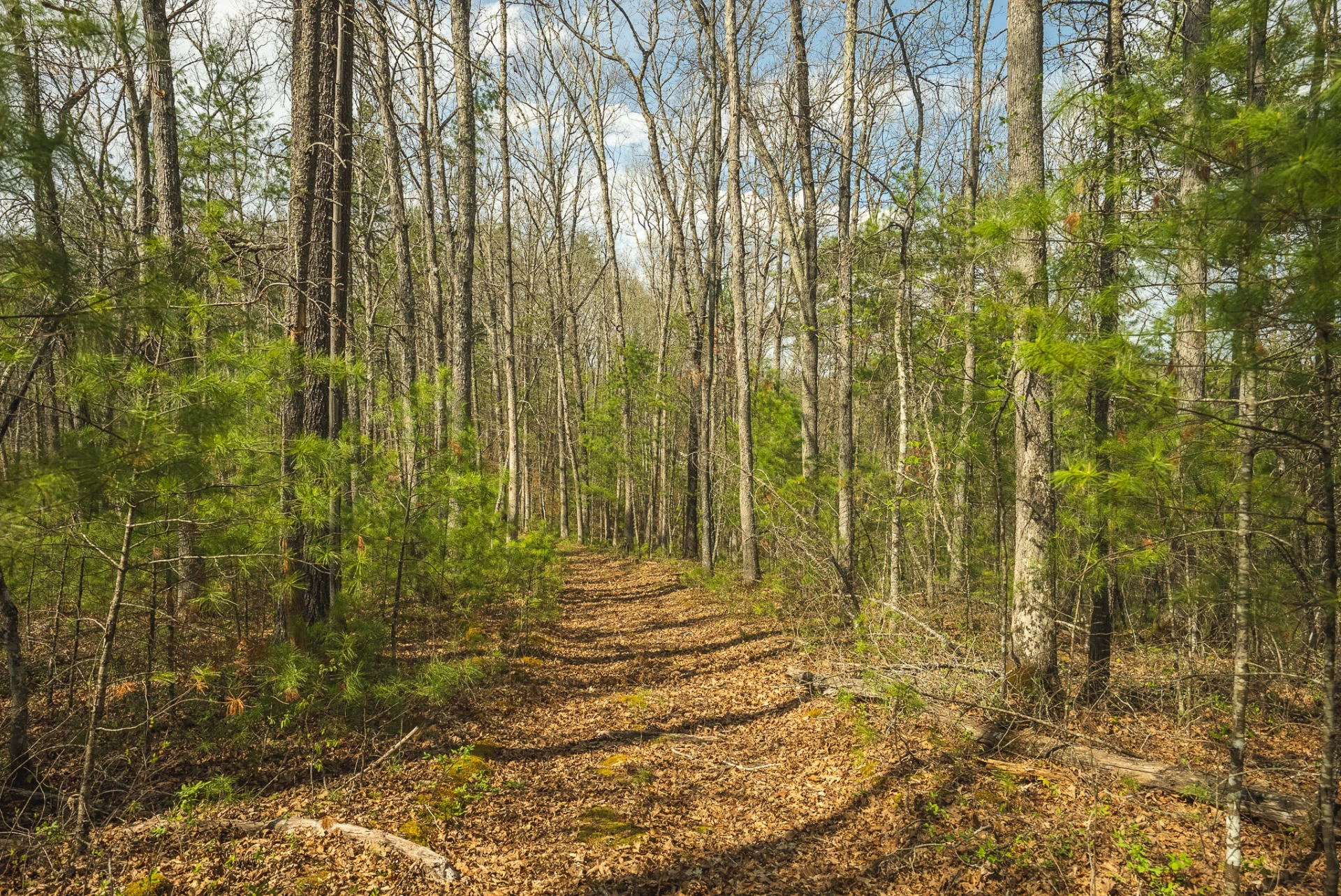 TBD Whip-Poor Will Hollow RD - Photo 39
