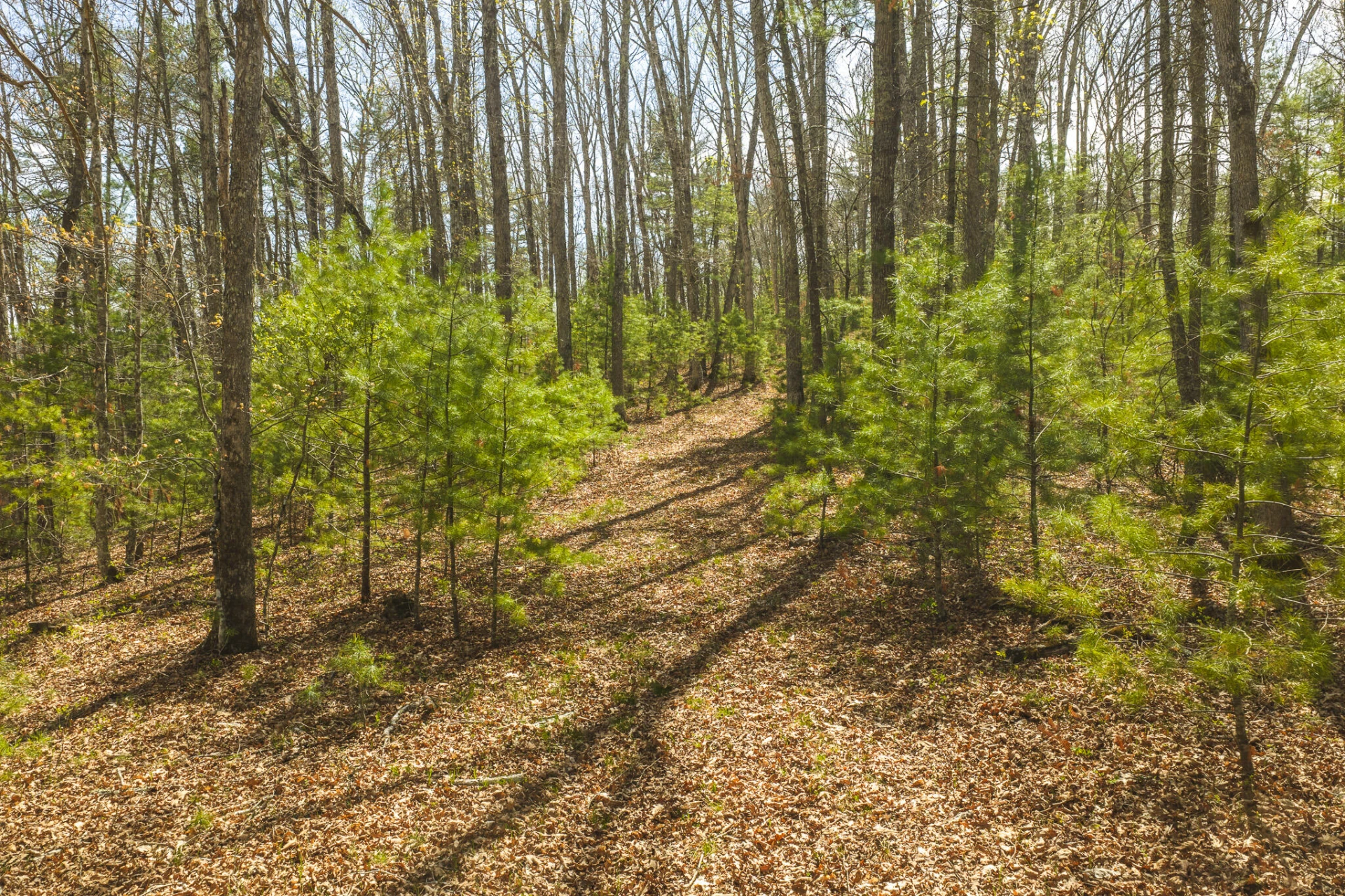 TBD Whip-Poor Will Hollow RD - Photo 4