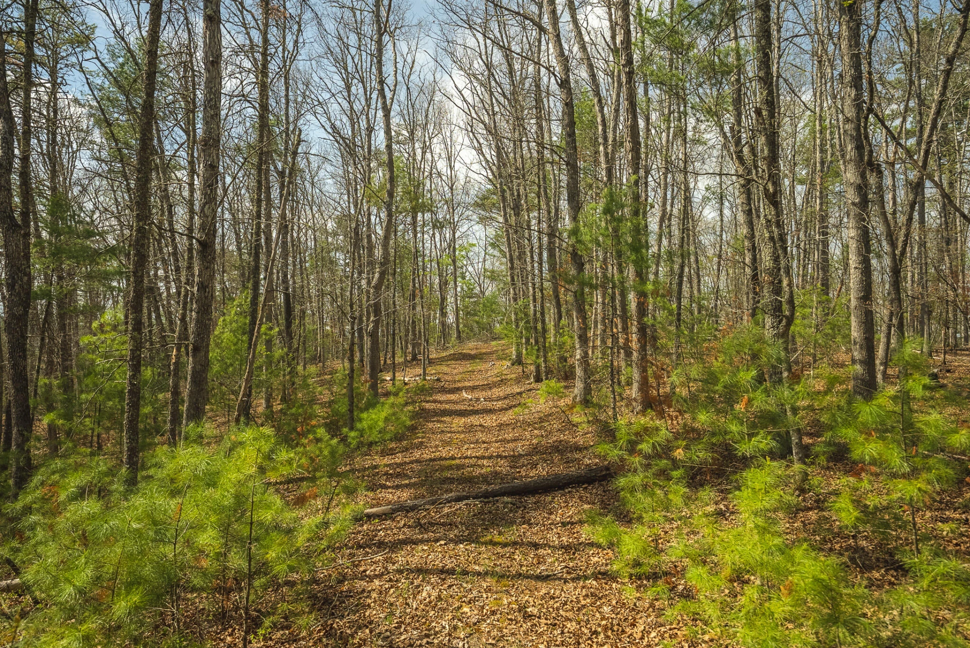 TBD Whip-Poor Will Hollow RD - Photo 41