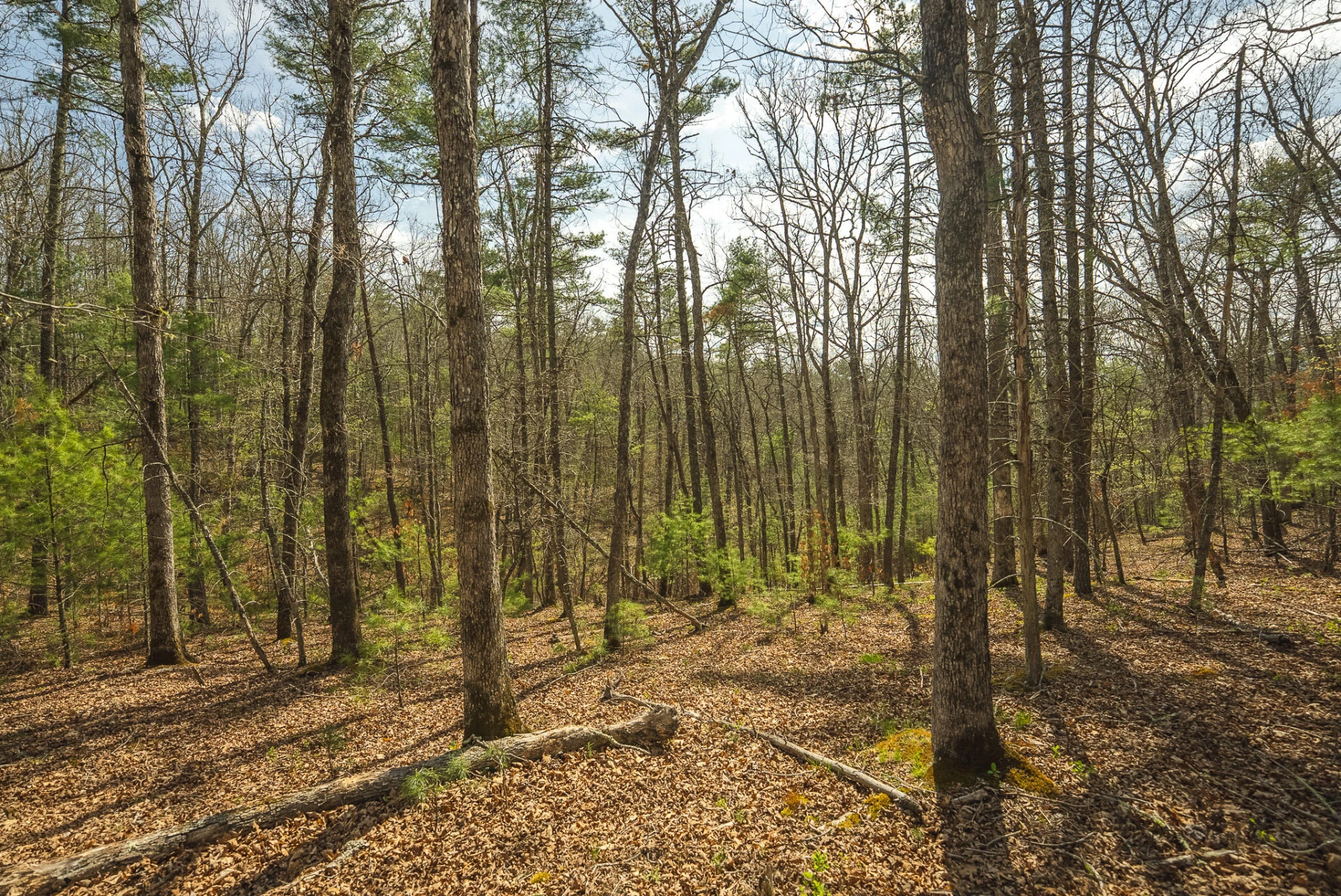 TBD Whip-Poor Will Hollow RD - Photo 42