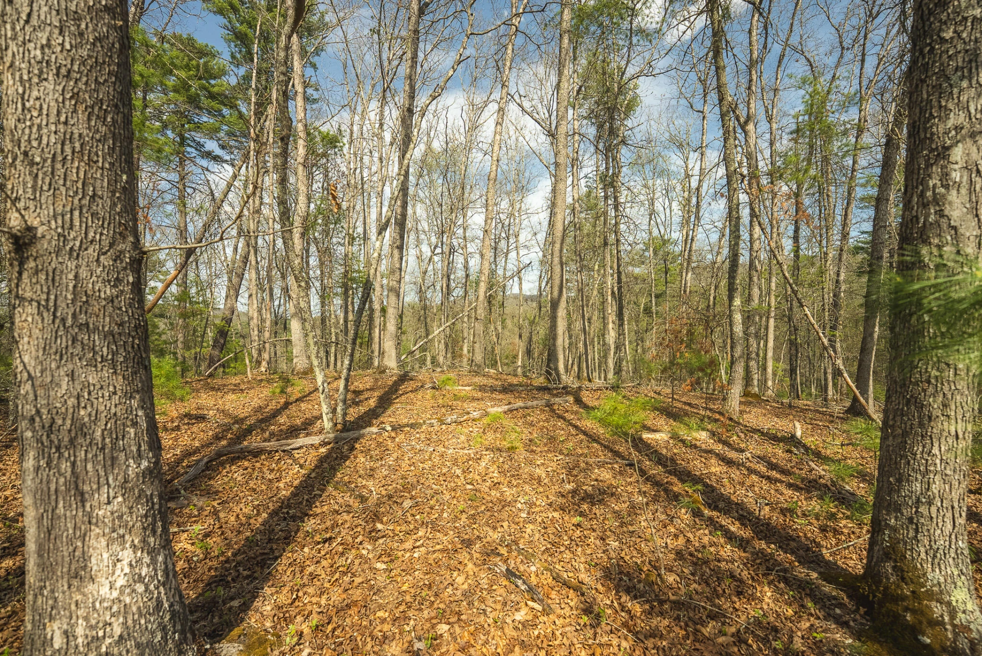 TBD Whip-Poor Will Hollow RD - Photo 43
