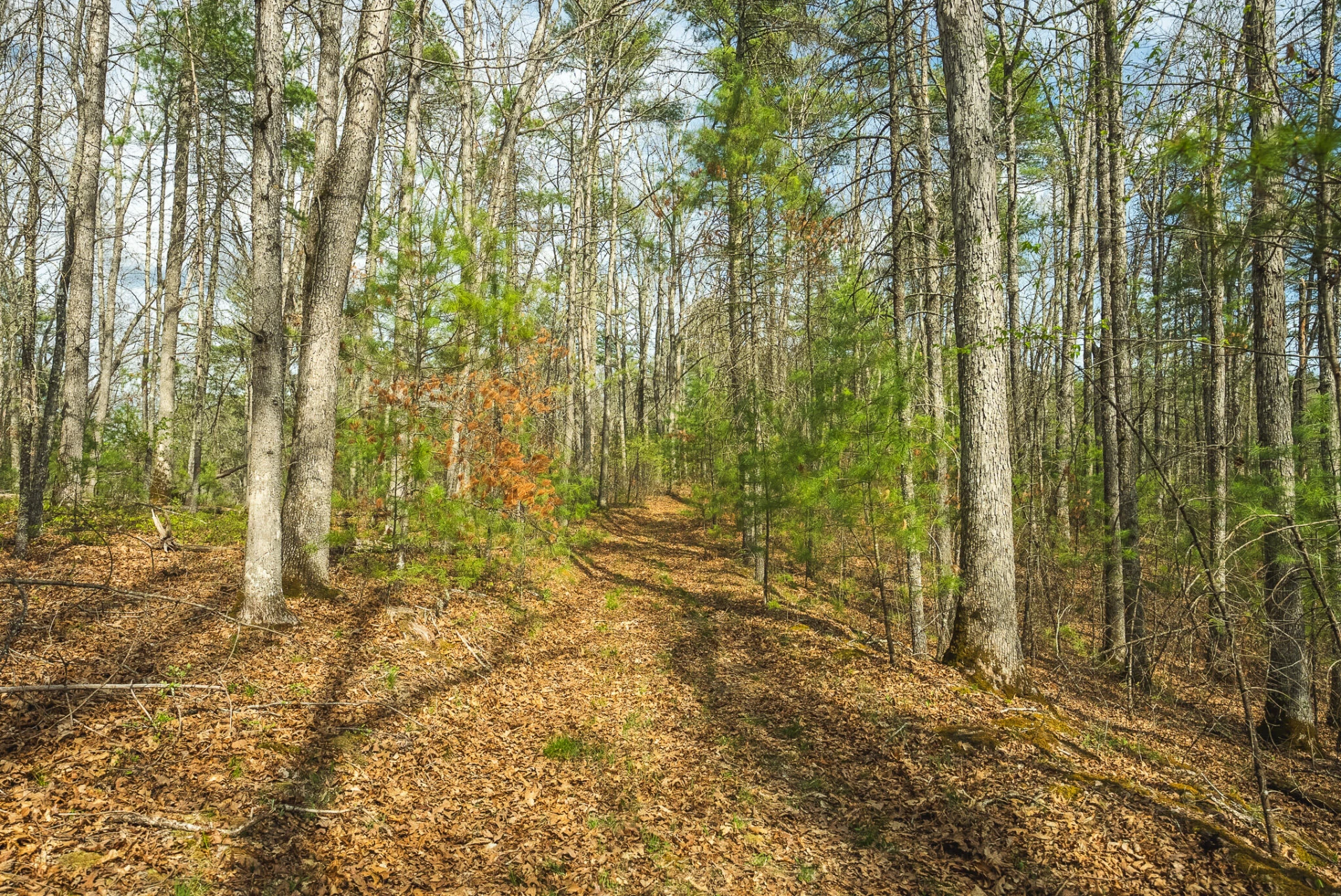 TBD Whip-Poor Will Hollow RD - Photo 48